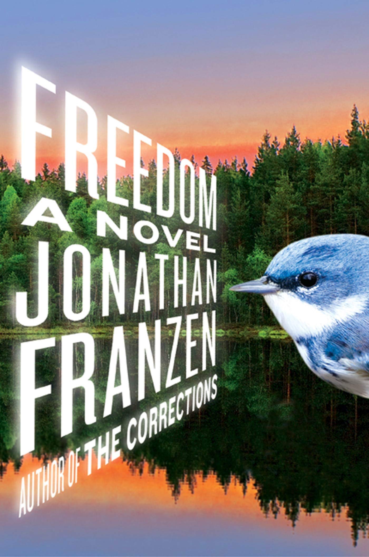 Libro: Freedom: A Novel