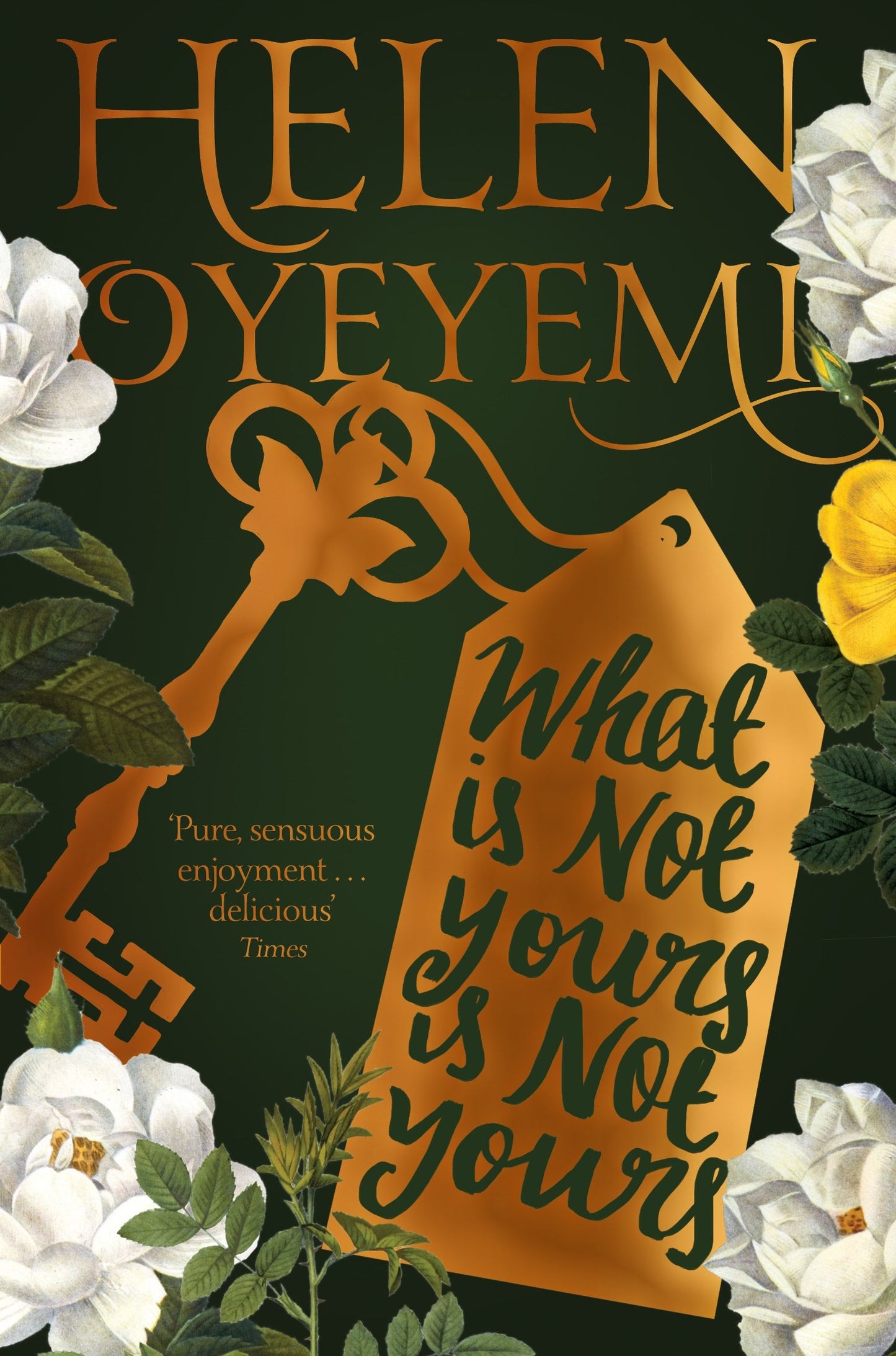Libro: What is Not Yours is Not Yours Paperback Helen Oyeyemi