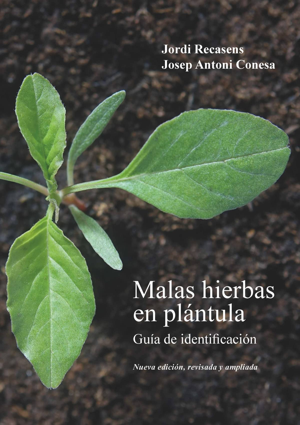 Libro: MALAS HIERBAS EN PLÁNTULA (nueva ed): Nueva edición, revisada y ampliada (GRAN ANGULAR)