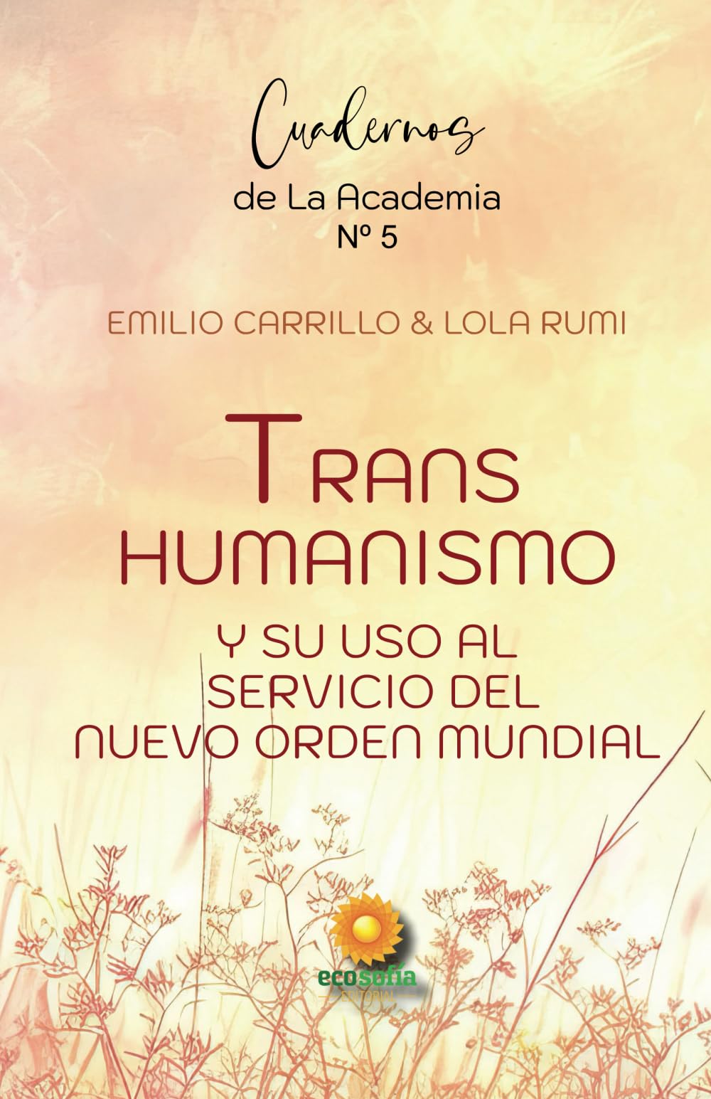Libro: Transhumanismo: y su uso al servicio del nuevo orden mundial (LOS CUADERNOS DE LA ACADEMIA DE LA CONSCIENCIA) (Spanish Edition)