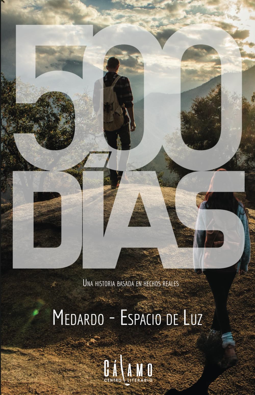 Libro: 500 días: Una historia basada en hechos reales