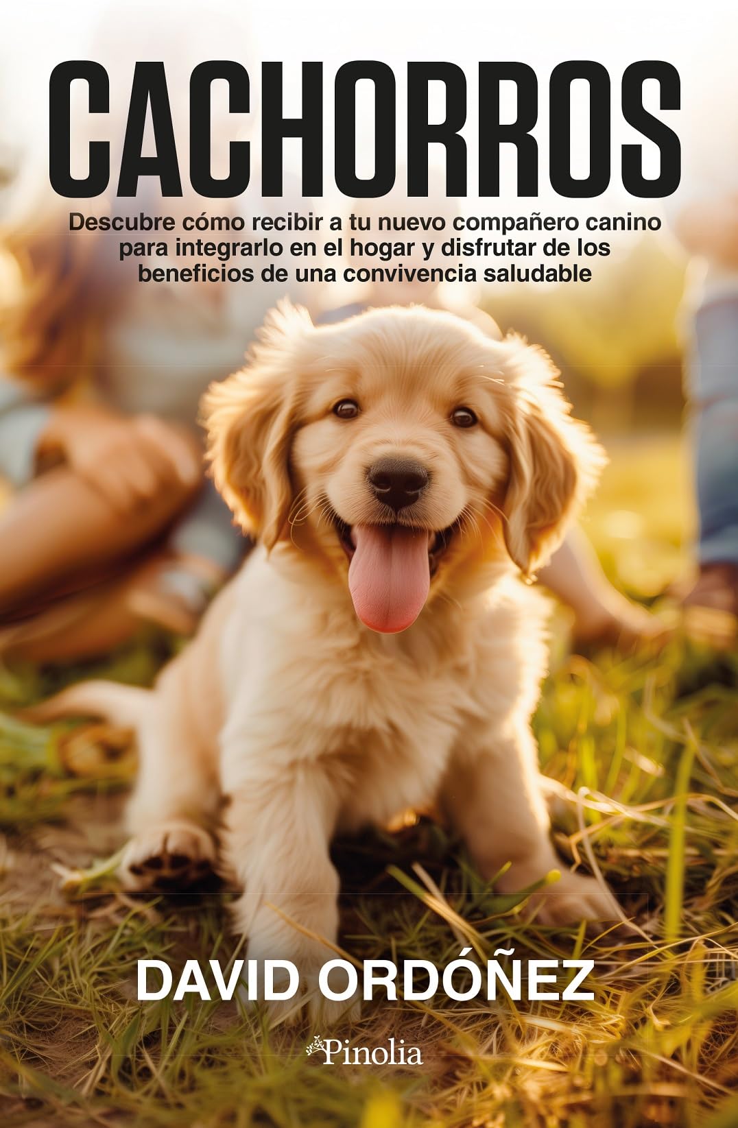 Libro: Cachorros: Descubre cómo recibir a tu nuevo compañero canino para integrarlo en el hogar y disfrutar de los beneficios que puede aportar a toda la familia