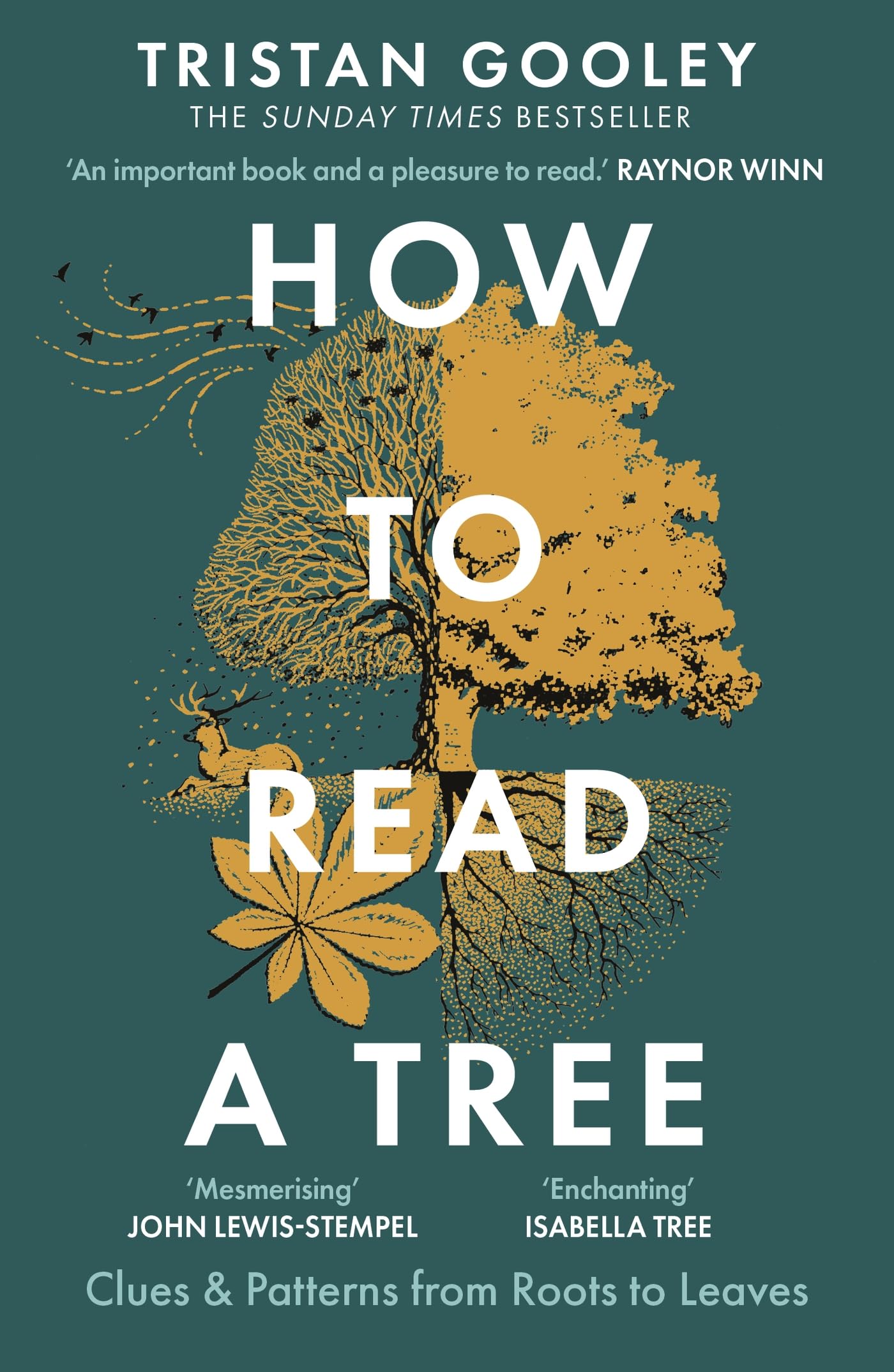 Libro: Hodder Stoughton How to Read a Tree The Sunday Times Bestseller.