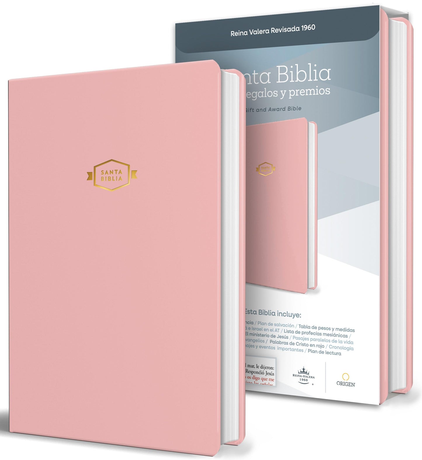 Libro: Biblia RVR 1960 para regalos y premios, rosada / Spanish Bible RVR 1960 Gift and Award Bible Pink (Spanish Edition)