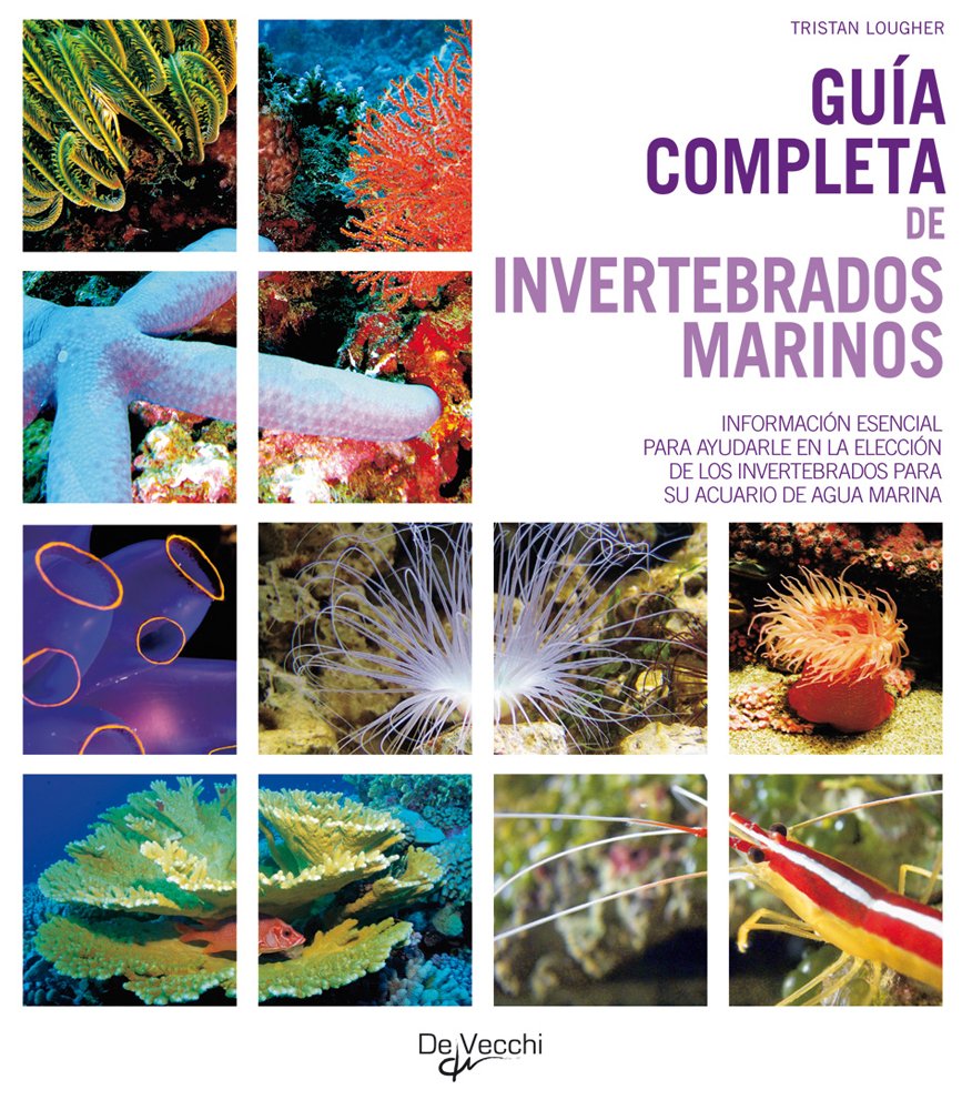 Libro: Guía completa de invertebrados marinos (Animales) (Spanish Edition)