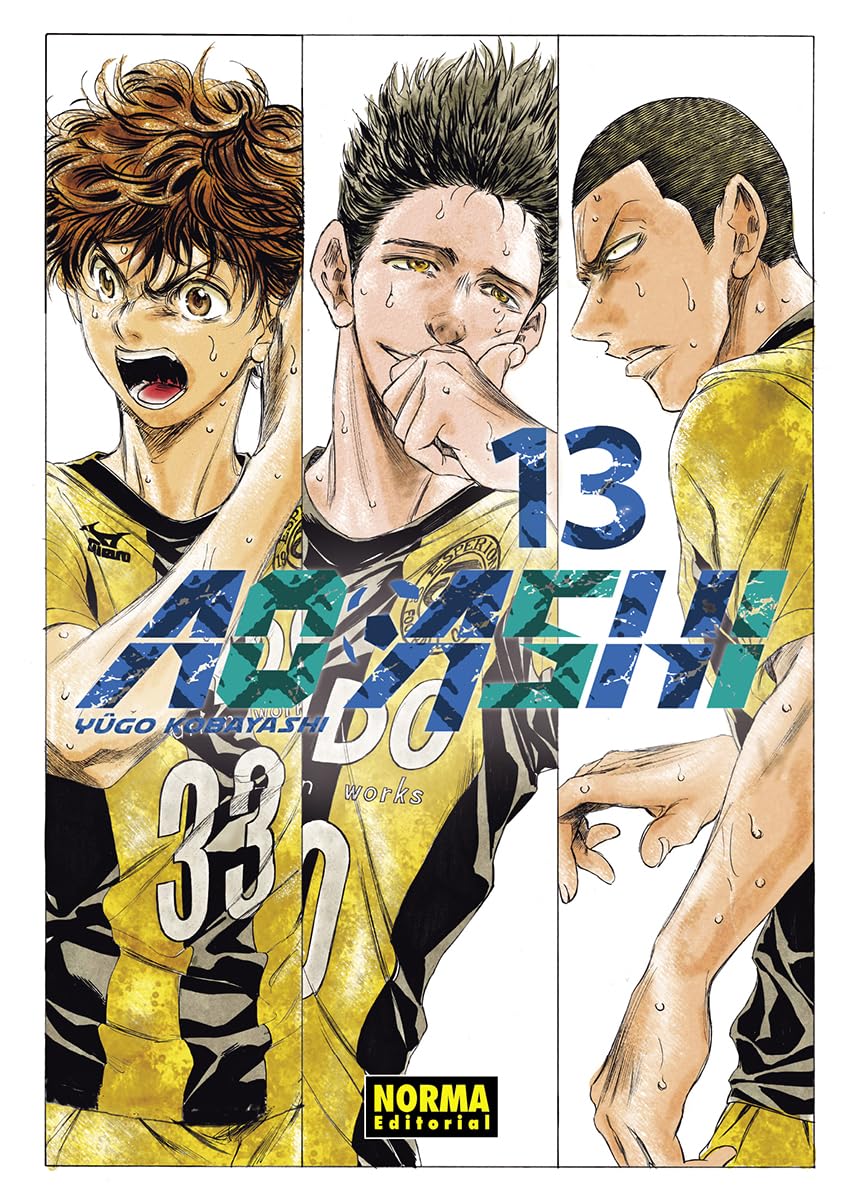 Libro: AO ASHI 13