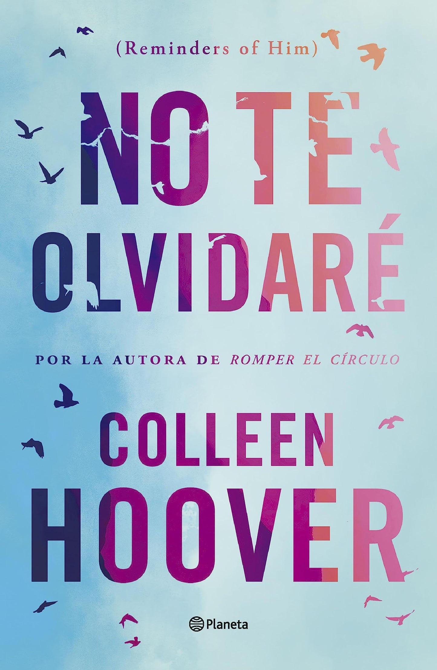 Libro: No te olvidaré (Reminders of Him) (Planeta Internacional)