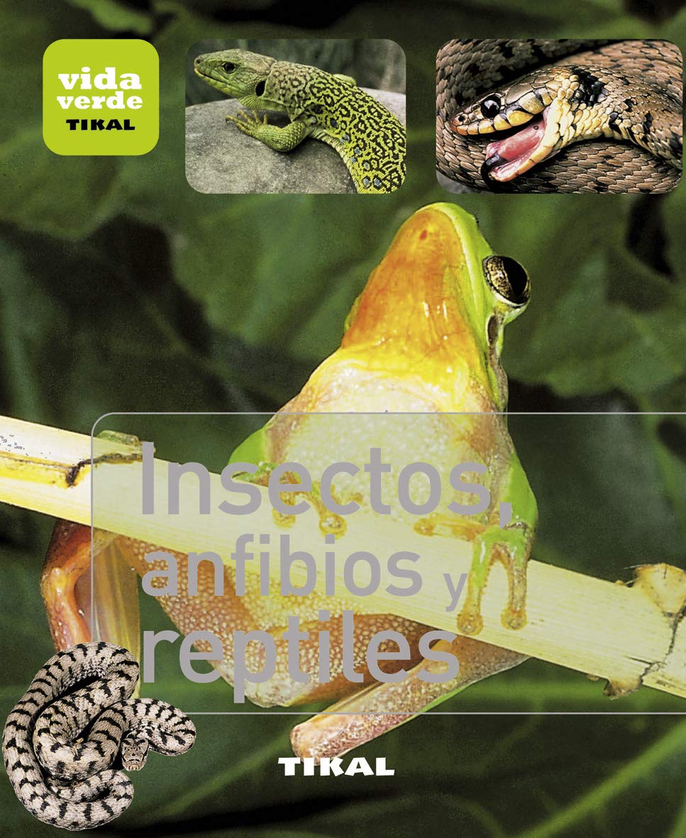 Libro: Insectos, Anfibios y Reptiles (Vida verde)