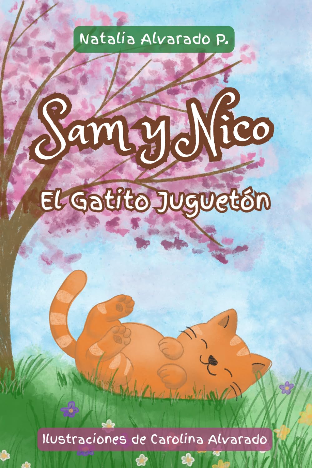 Libro: Sam y Nico. El Gatito Juguetón