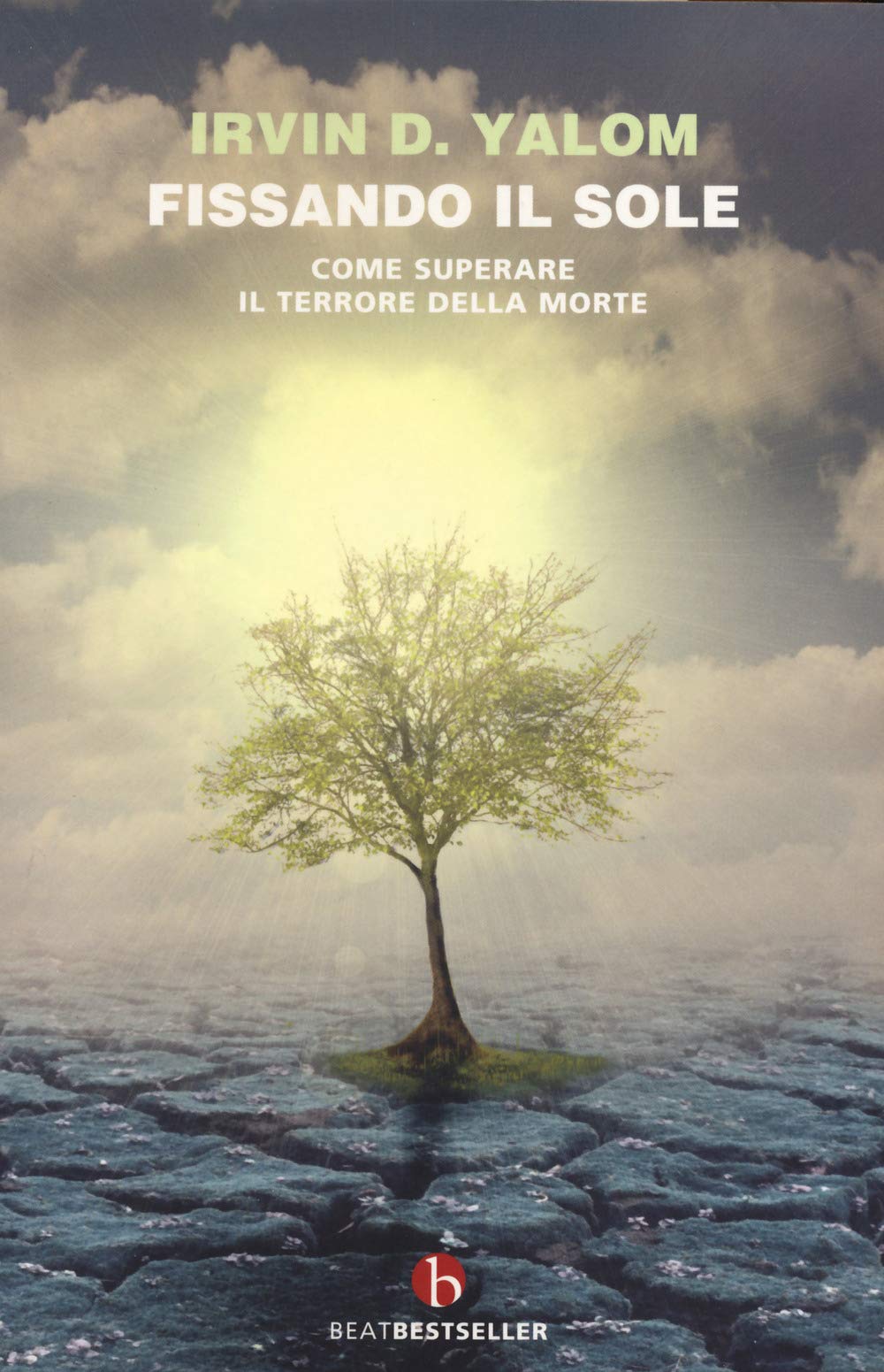 Libro: Fissando il sole
