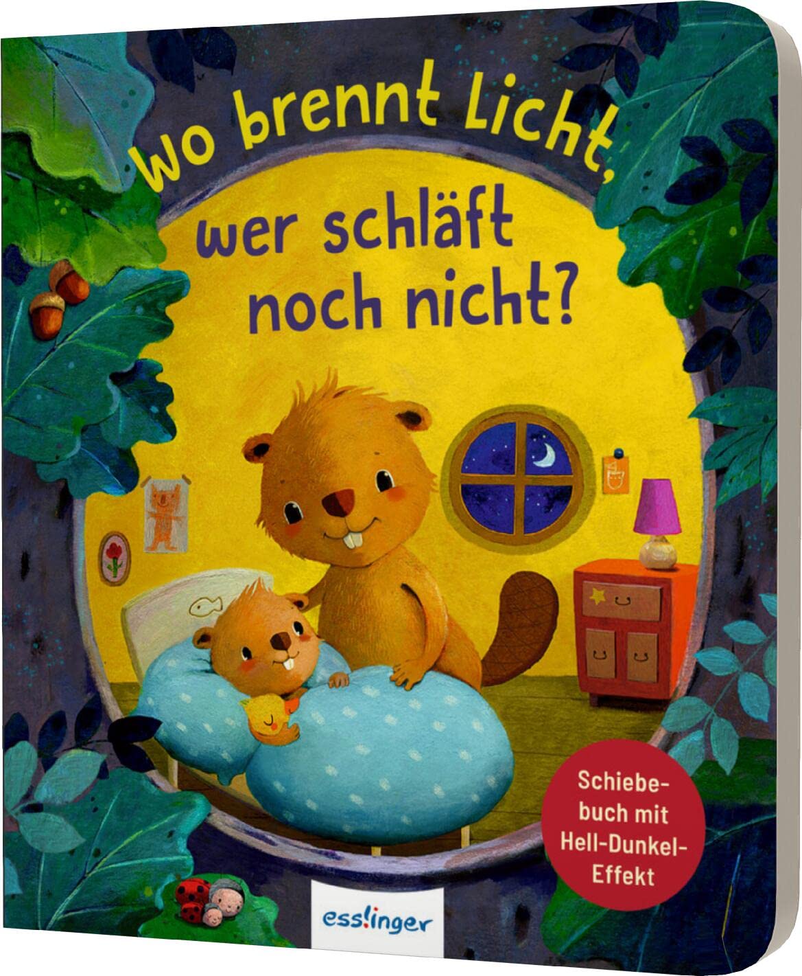Libro: Wo brennt Licht, wer schläft noch nicht?