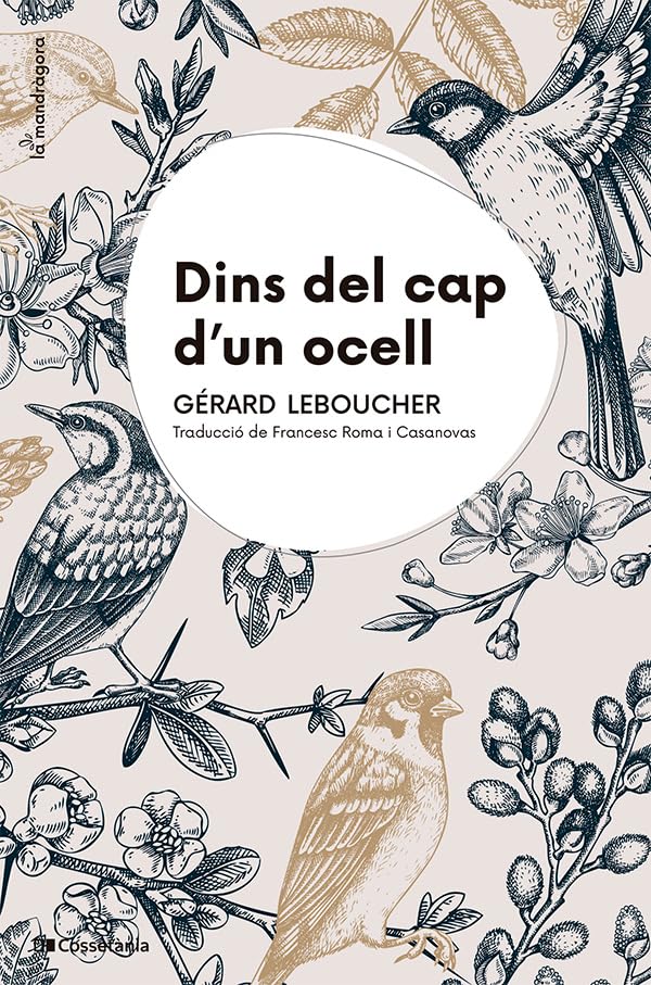 Libro: Dins del cap d'un ocell