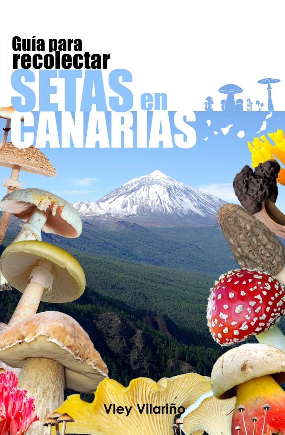 Libro: Guía para recolectar SETAS en Canarias: Micología básica, identificación correcta, localización en Canarias, setas comestibles, medicinales y tóxicas