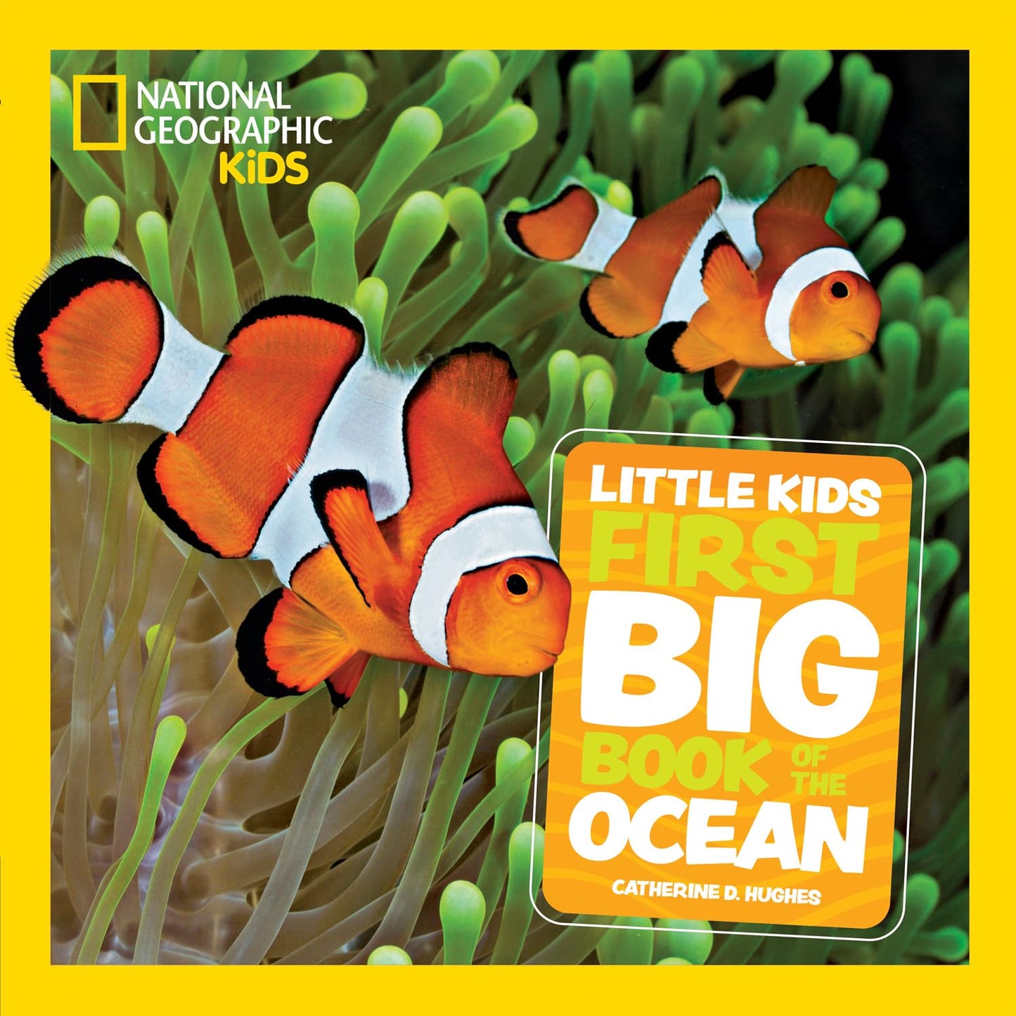 Libro: Little Kids First Big Book of The Ocean: Fact-filled fun book about amazing sea life and underwater wonders (National Geographic Kids)