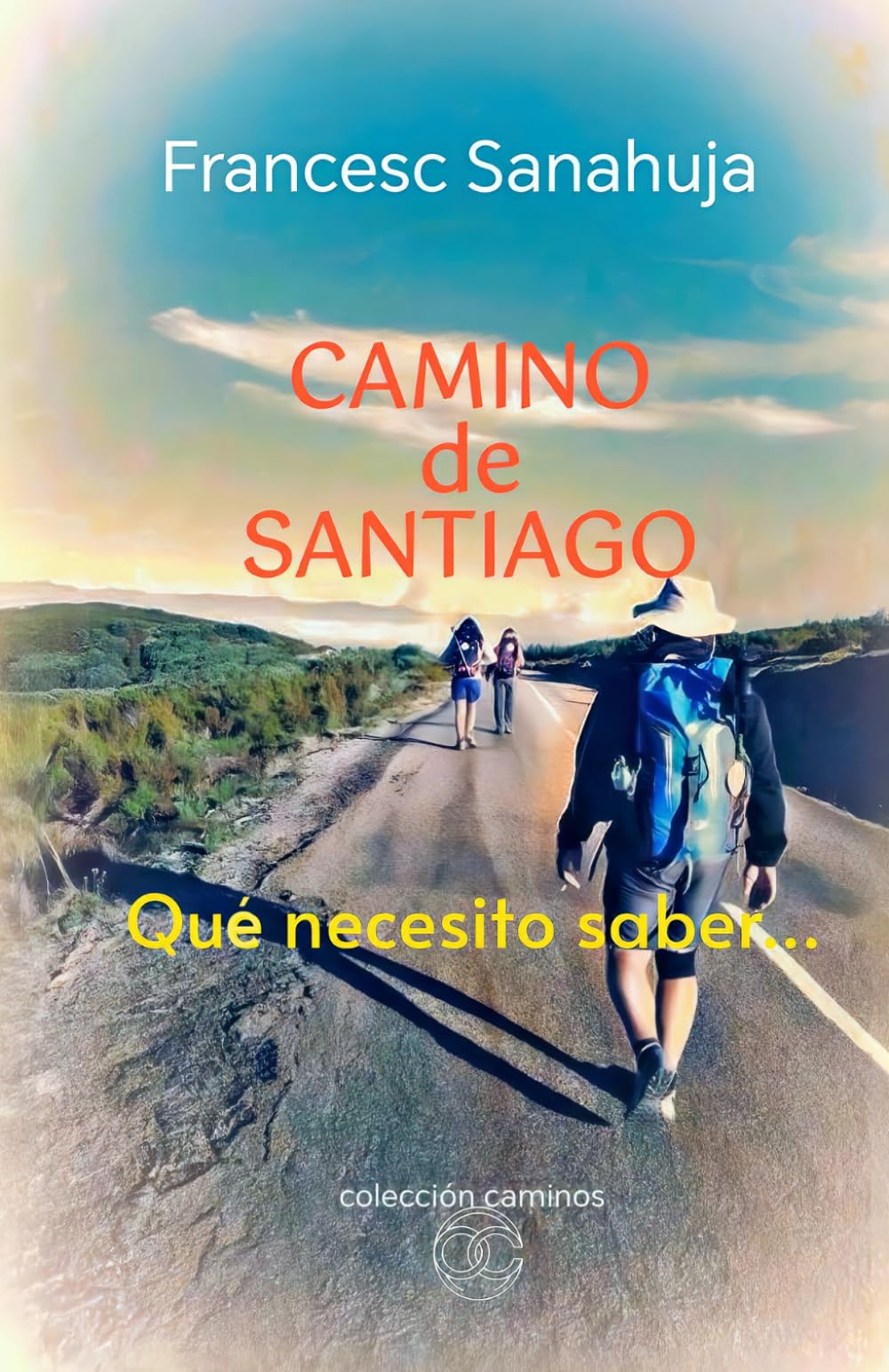 Libro: CAMINO DE SANTIAGO: Que necesito saber...