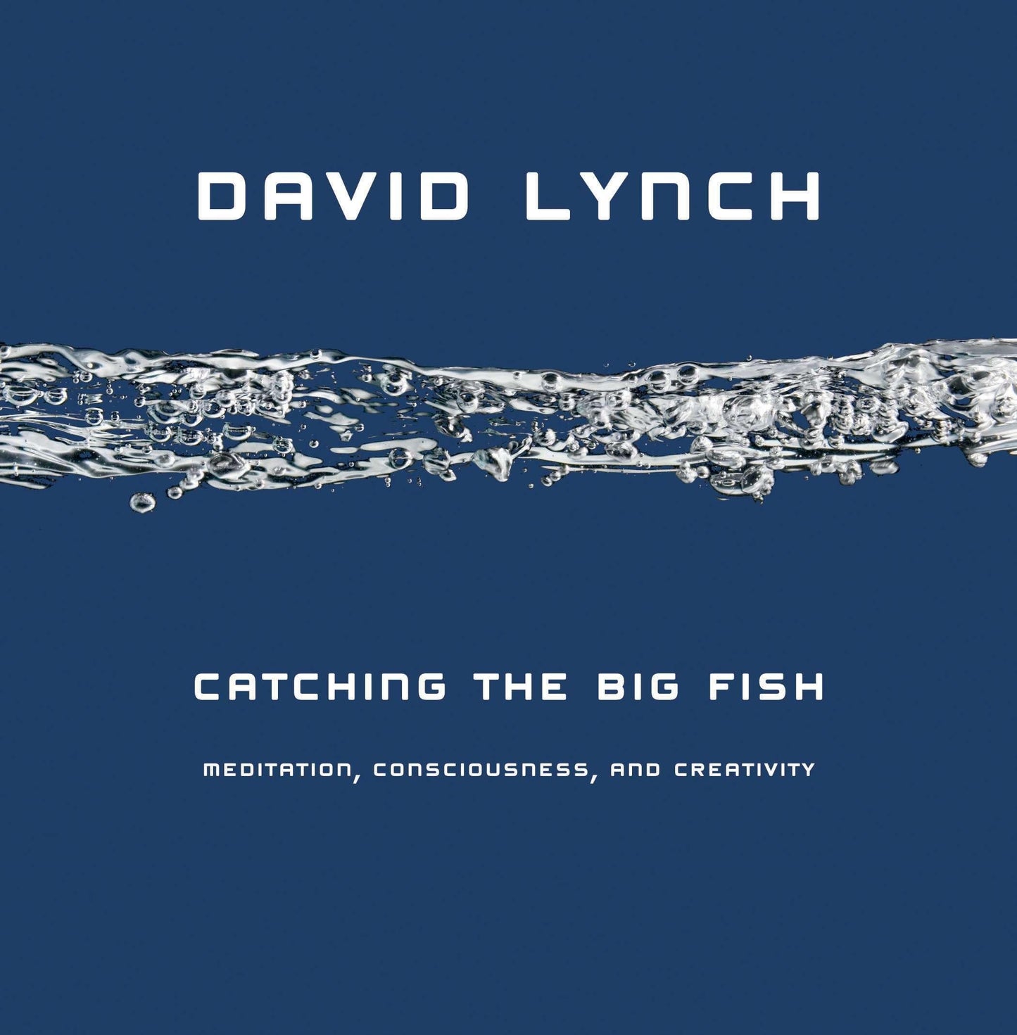 Libro: Catching the Big Fish: Meditation, Consciousness, and Creativity