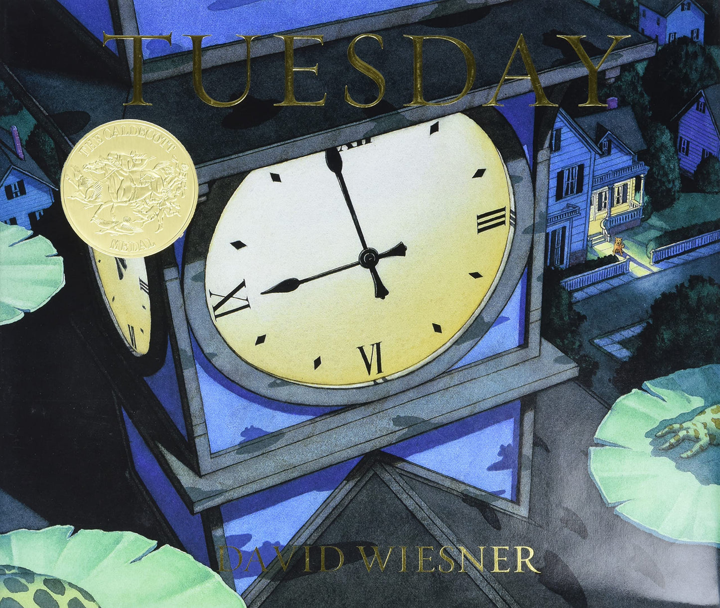 Libro: Tuesday (Caldecott Medal Book)