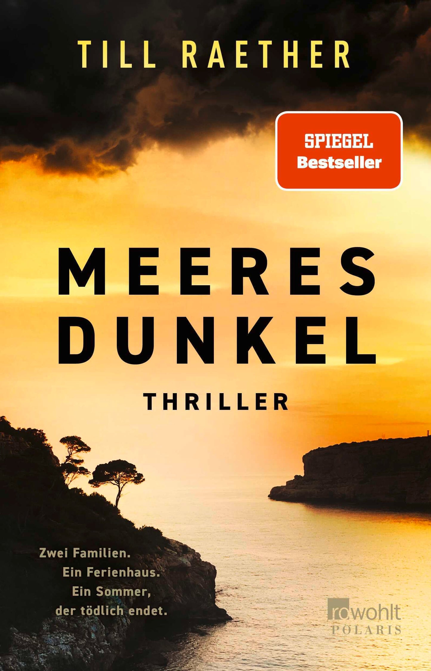 Libro: Meeresdunkel: Zwei Familien. Ein Ferienhaus. Ein Sommer, der tödlich endet. | SPIEGEL Bestseller