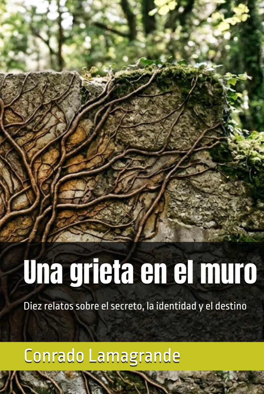 Libro: Una grieta en el muro: Diez relatos sobre el secreto, la identidad y el destino (Spanish Edition)