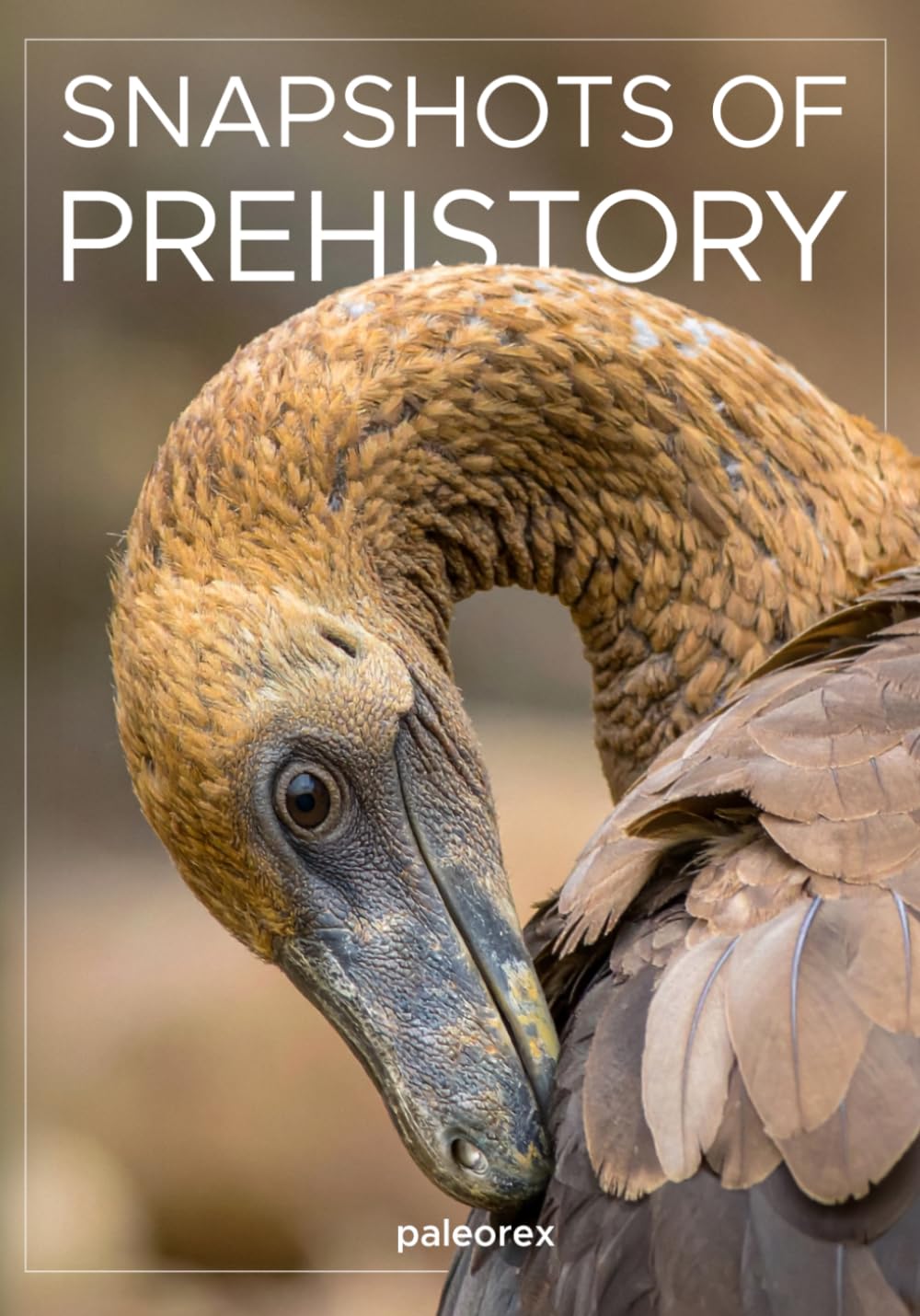 Libro: Snapshots of Prehistory
