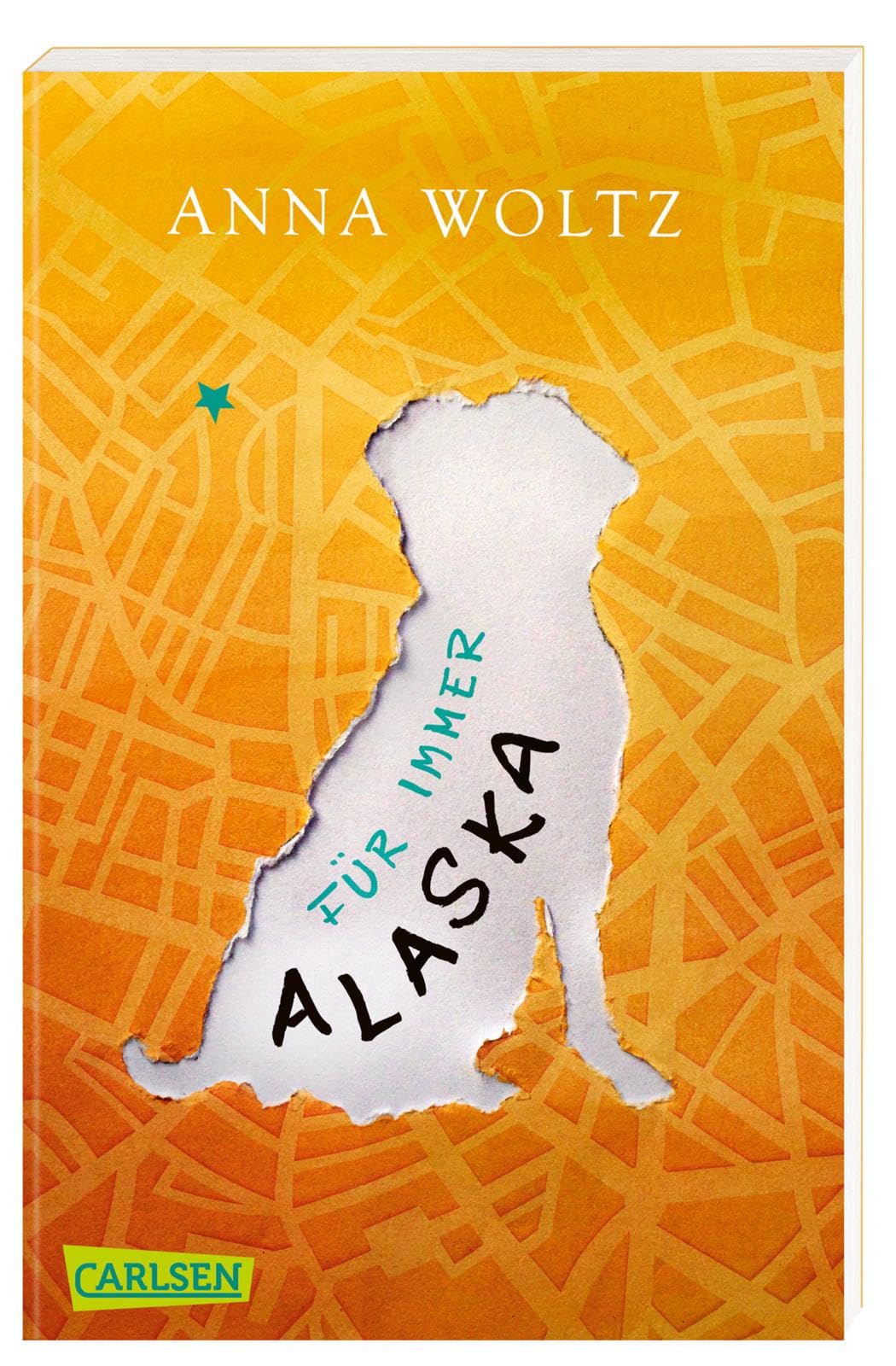 Libro: Für immer Alaska