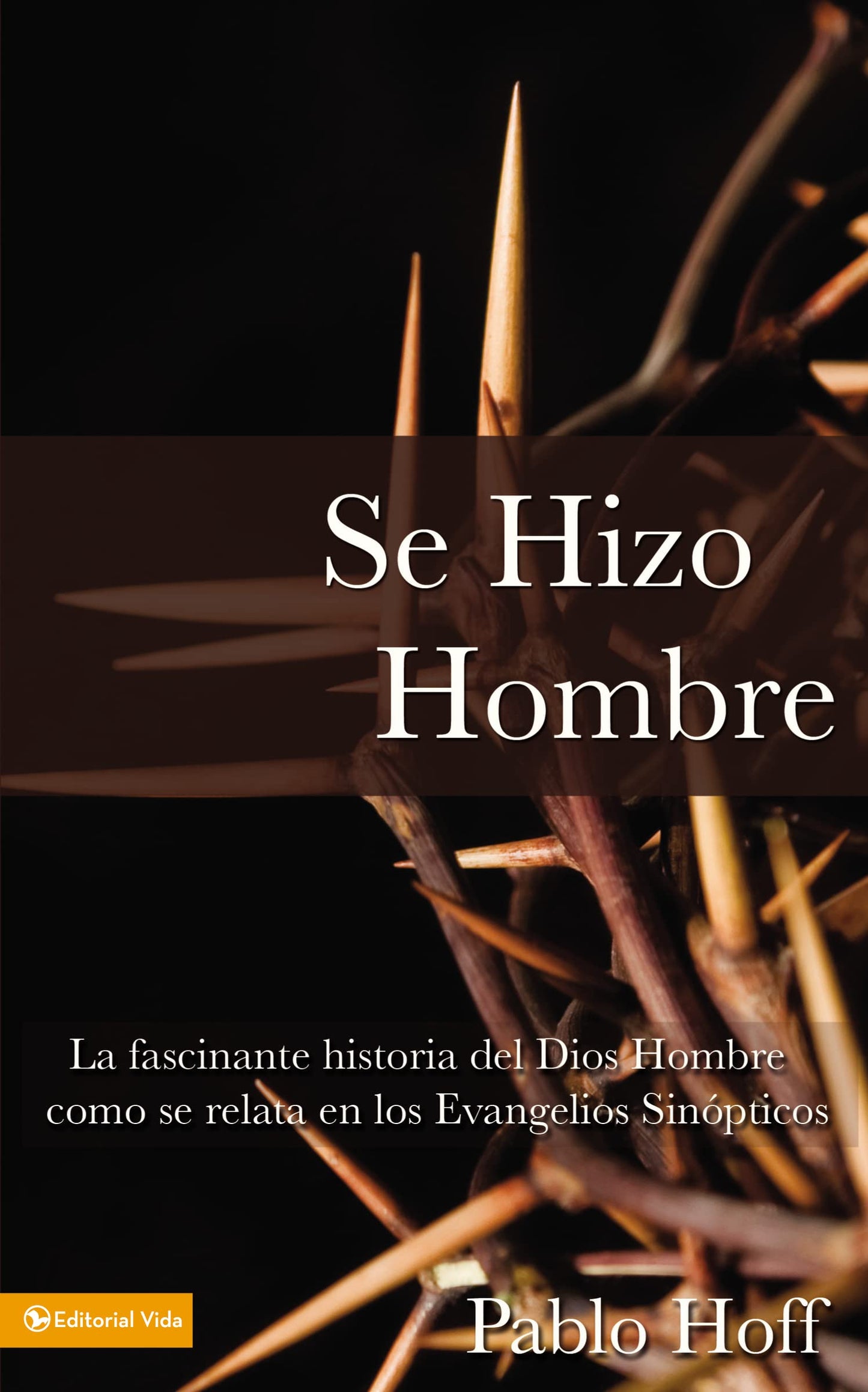 Libro: Se hizo hombre: A Great Story of How God Became a Man: La fascínate historia del Dios hombre como se relata en los evangelios sinópticos