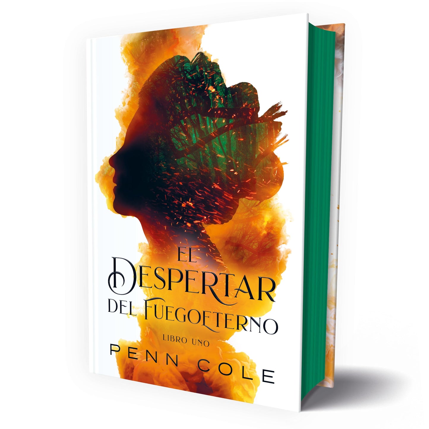 Libro: El despertar del Fuegoeterno (TBR)
