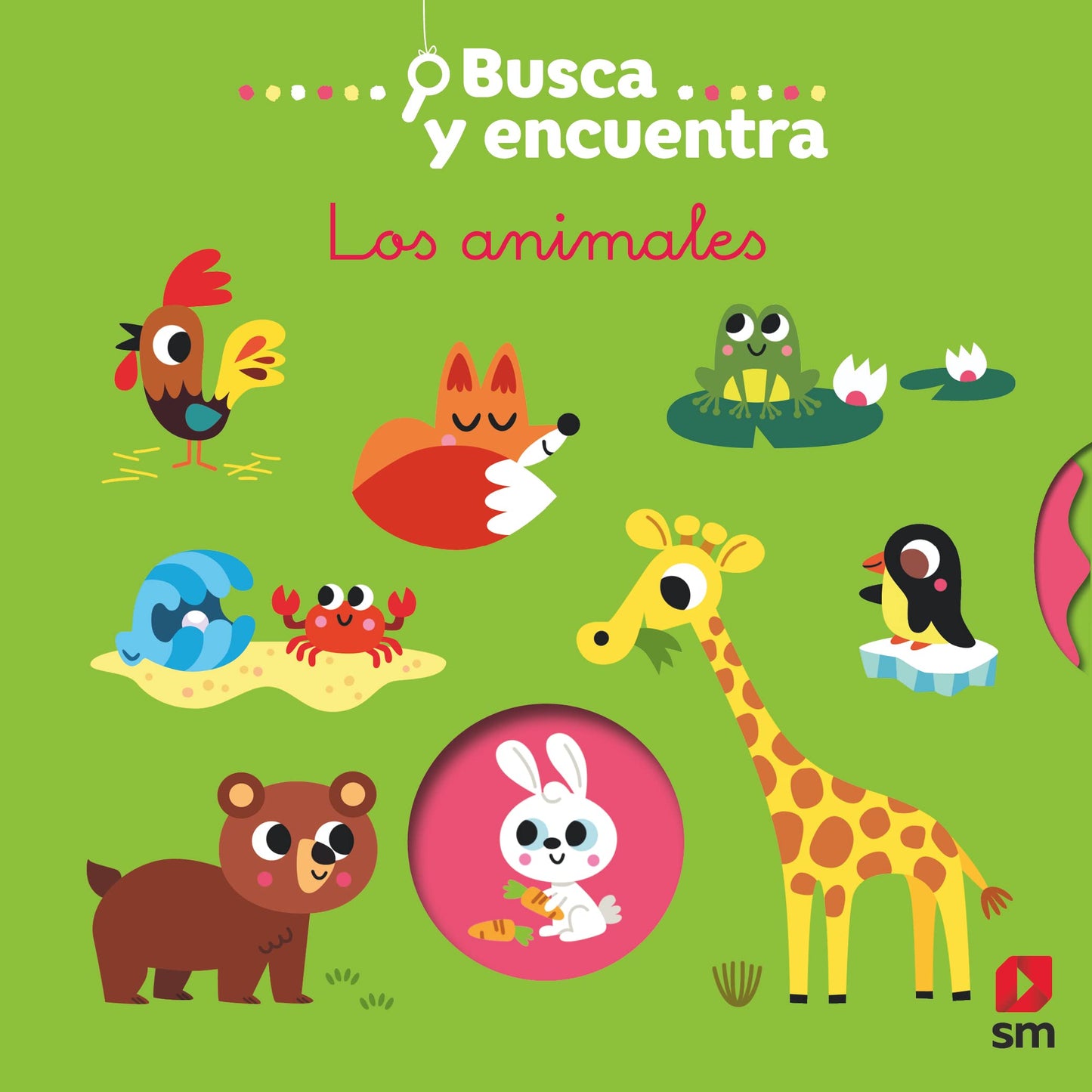 Libro: Busca y encuentra los animales