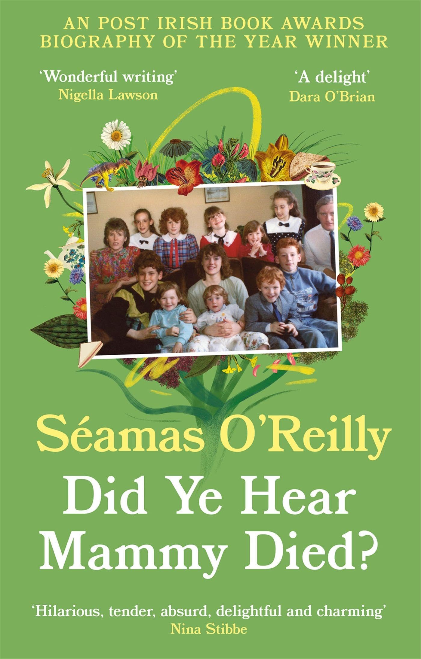 Libro: Did Ye Hear Mammy Died?: 'hilarious, tender, absurd, delightful and charming' Nina Stibbe (Dilly's Story)