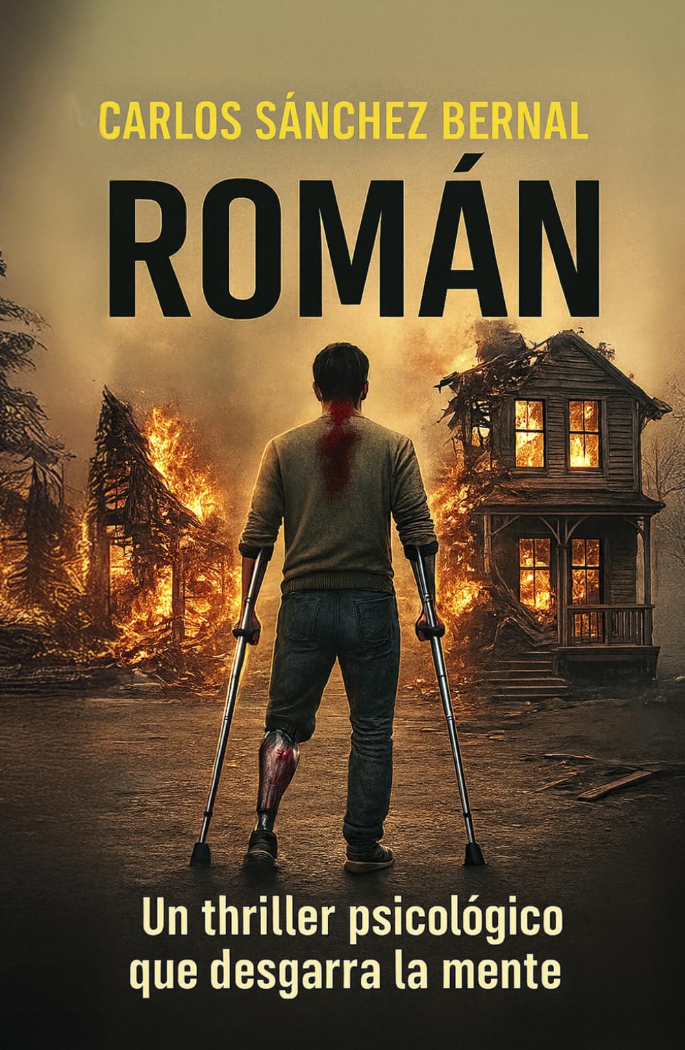 Libro: Román: Un thriller psicológico que desgarra la mente