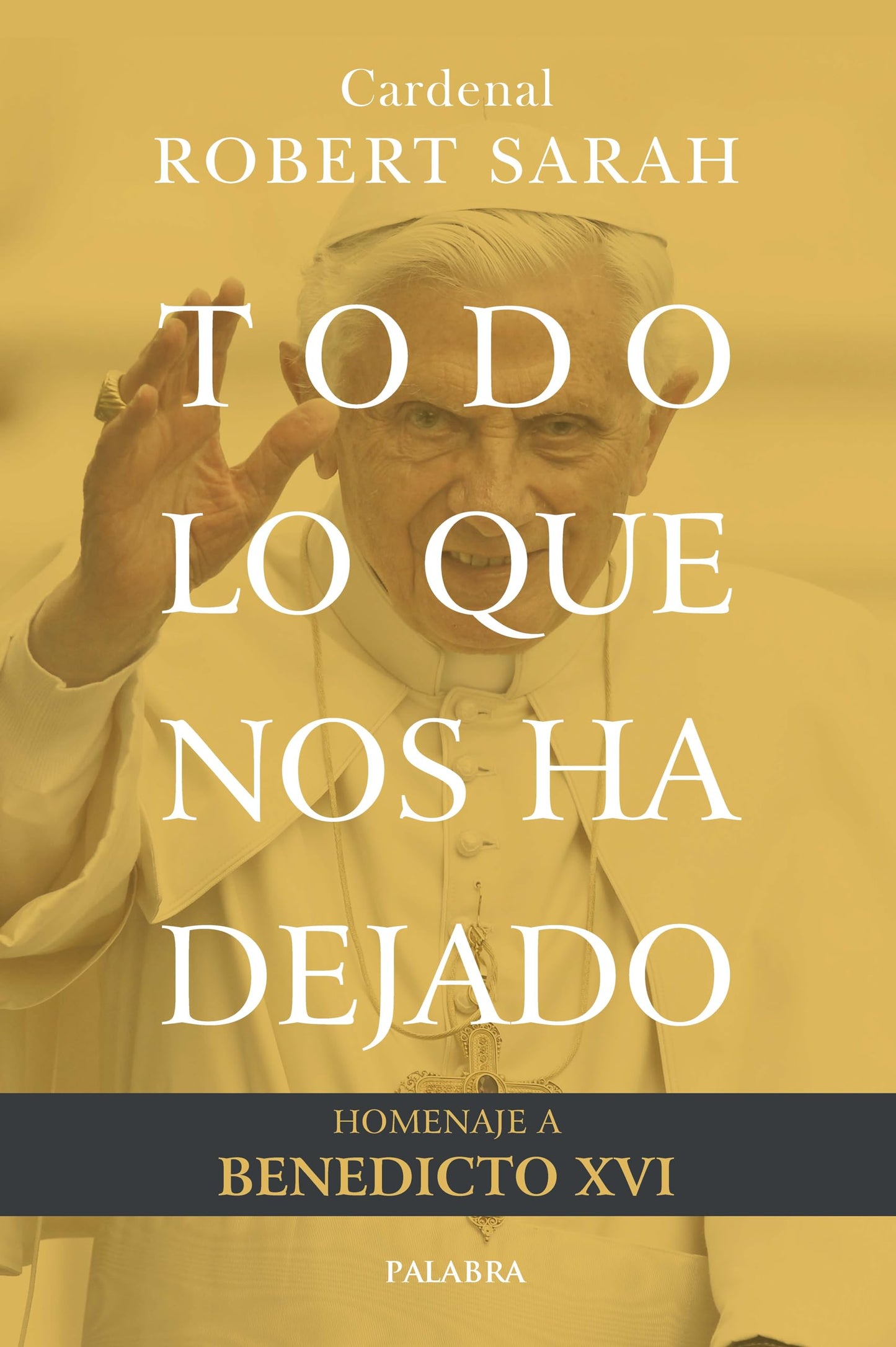 Libro: Todo lo que nos ha dejado. Homenaje a Benedicto XVI (Mundo y cristianismo)