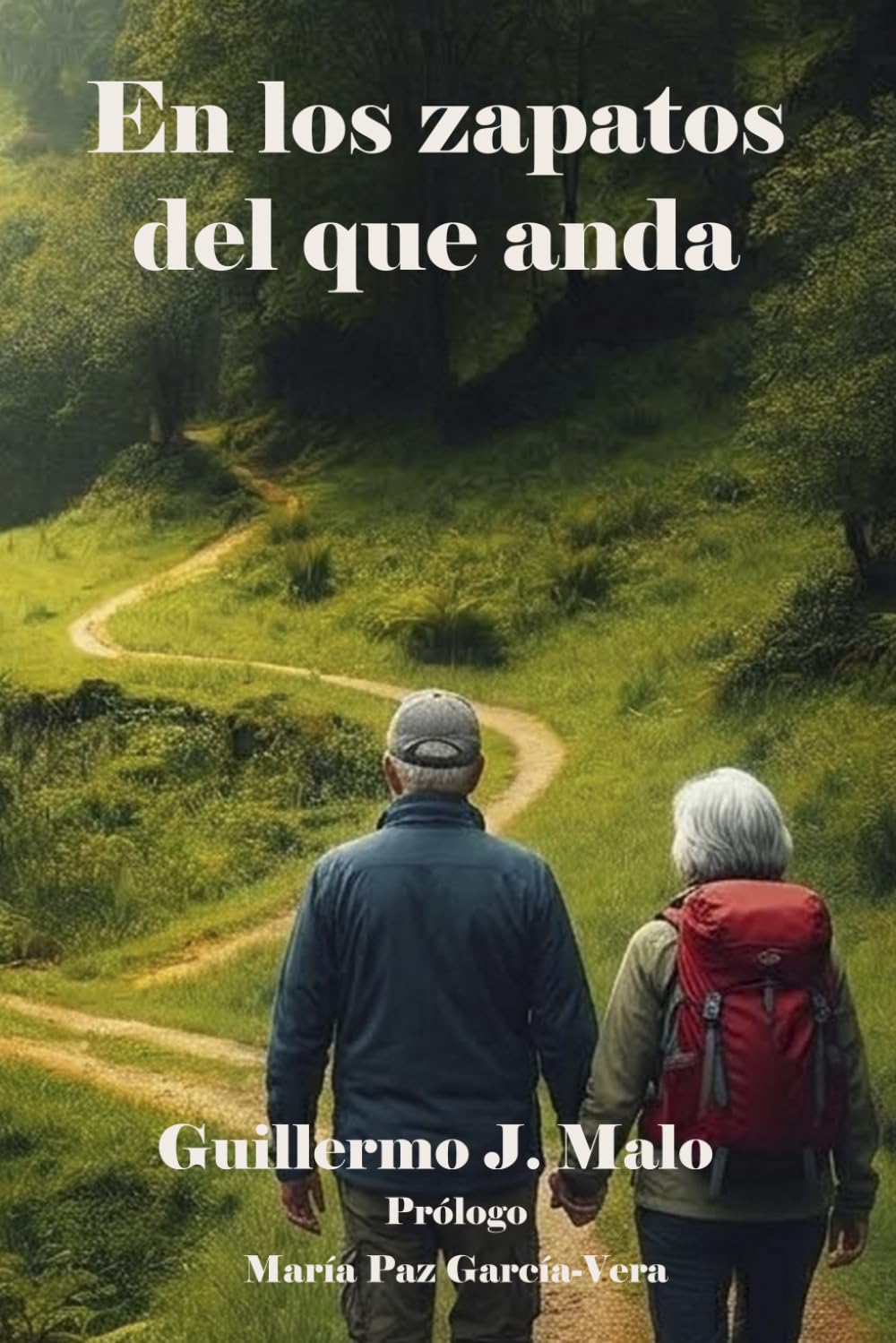 Libro: En los zapatos del que anda