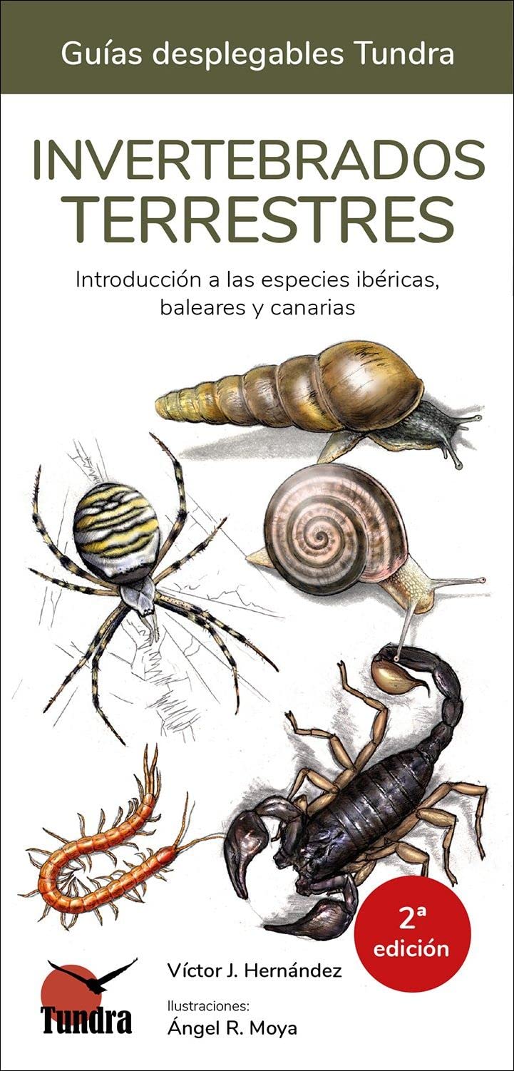 Libro: Invertebrados terrestres (2 edicion) (GUIAS DESPLEGABLES)