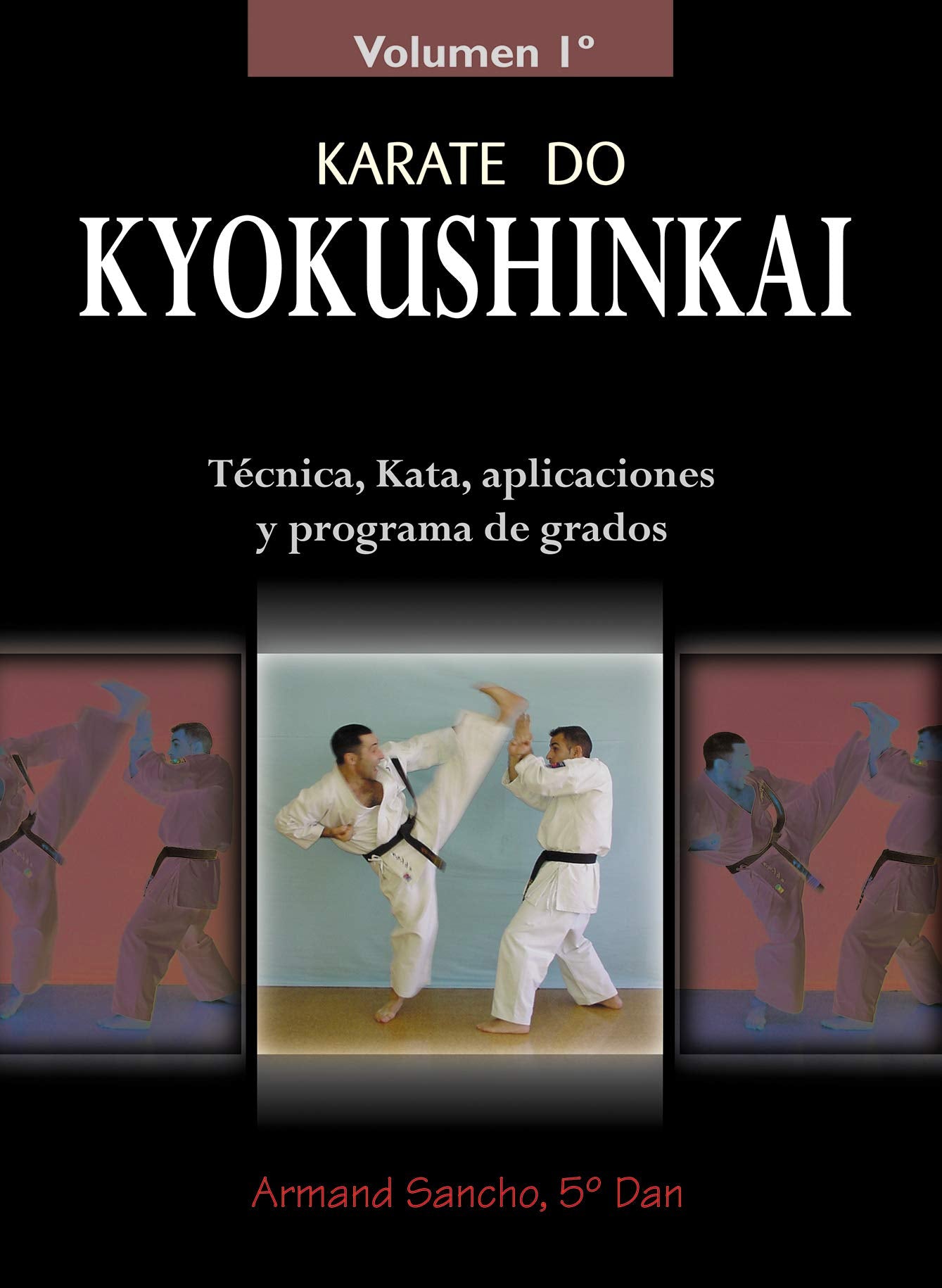 Libro: Karate Kyokushinkai (Volumen 1º)