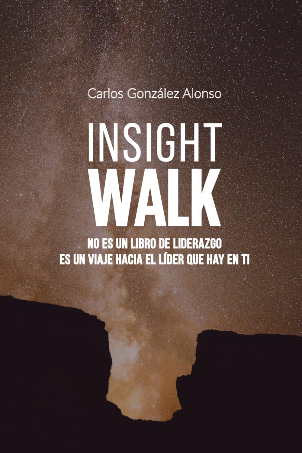 Libro: Insight Walk: No es un libro de liderazgo. Es un viaje hacia el líder que hay en ti.