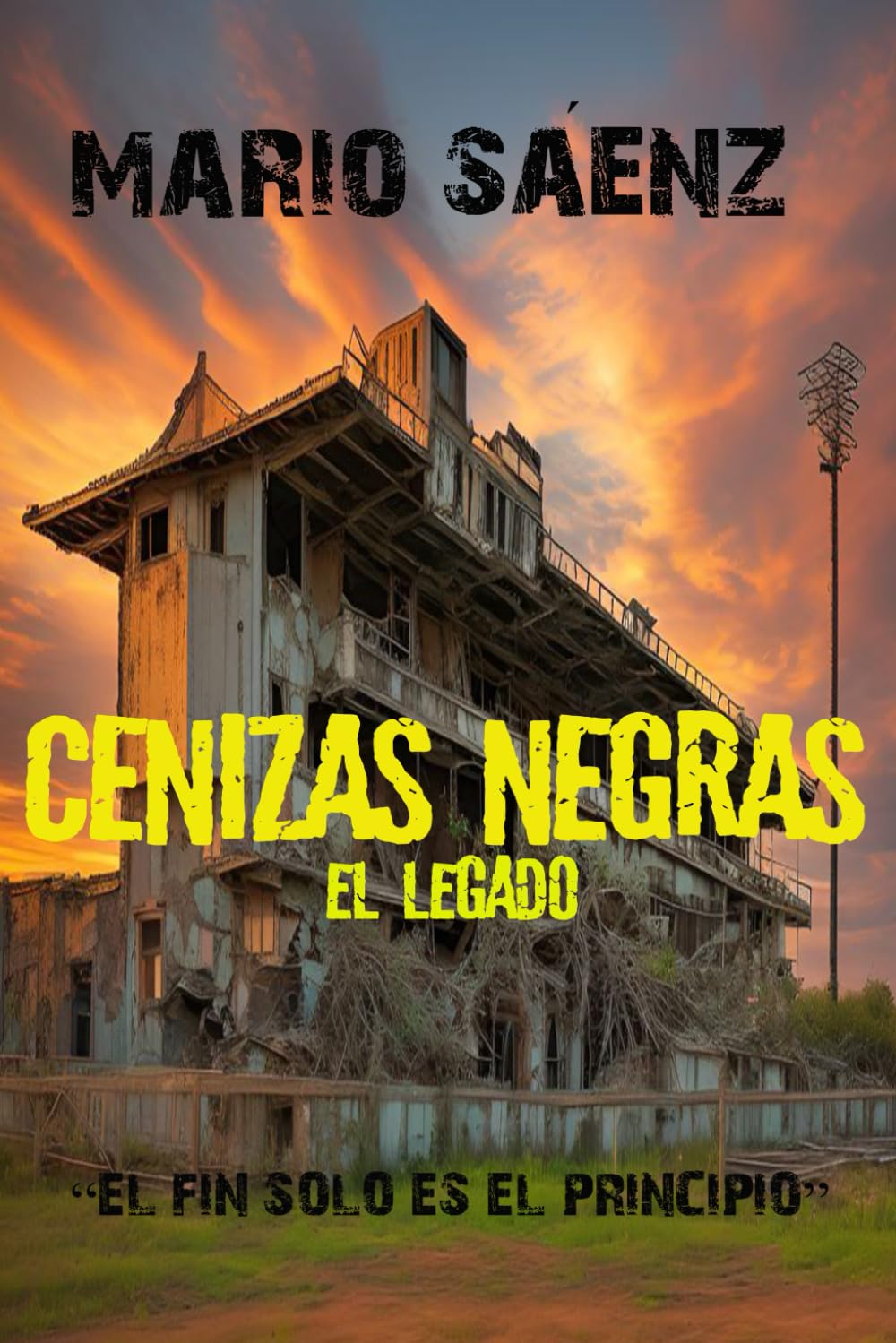 Libro: CENIZAS NEGRAS EL LEGADO (Spanish Edition)