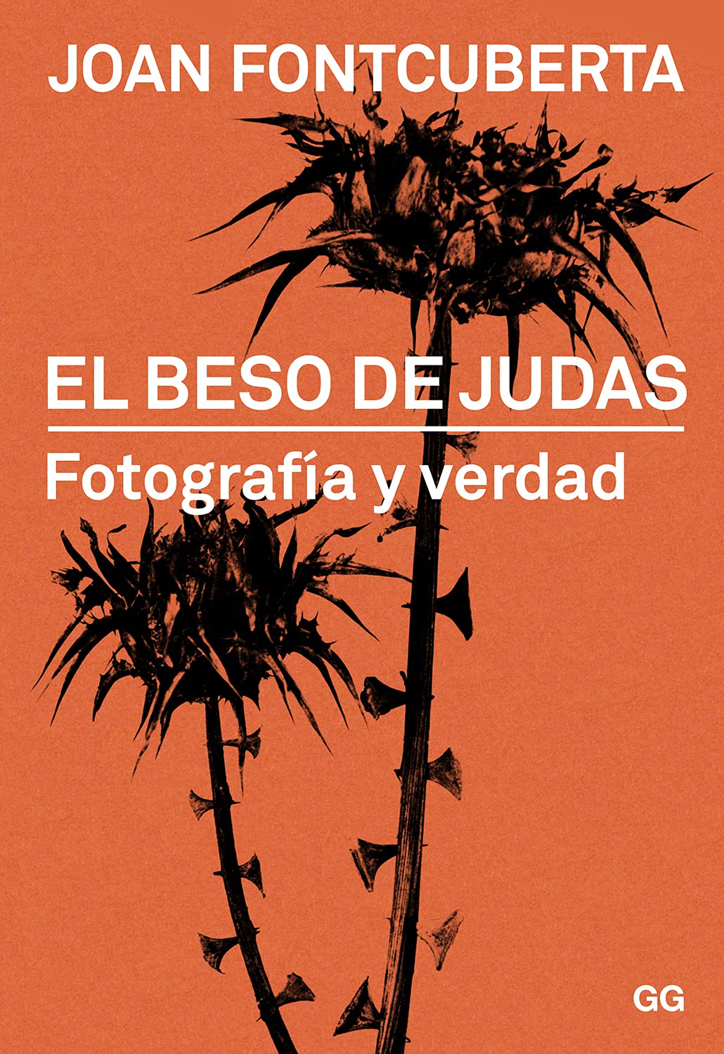 Libro: El beso de Judas: Fotografía y verdad (SIN COLECCION)