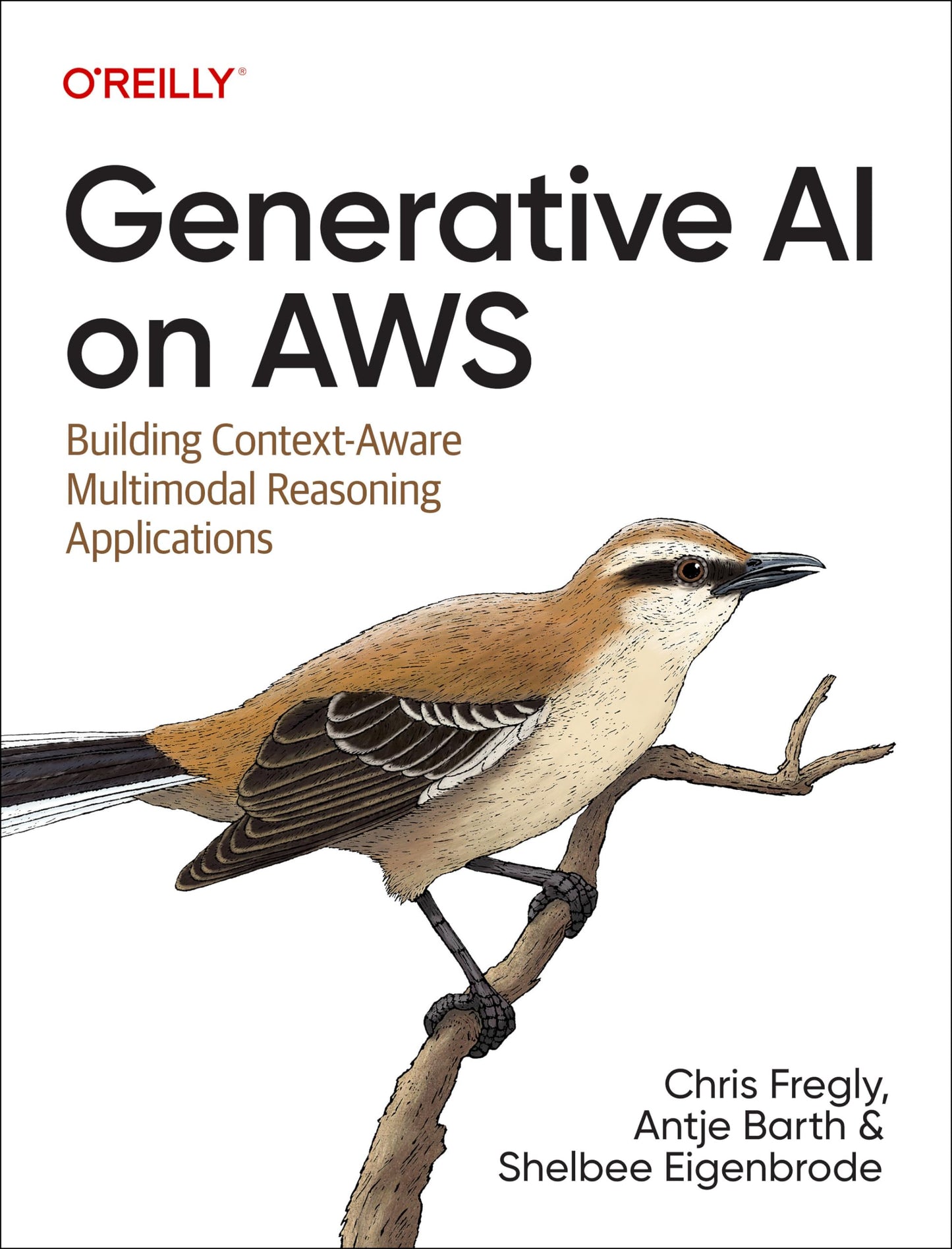 Libro: Generative AI on AWS: Building Context-Aware Multimodal Reasoning Applications