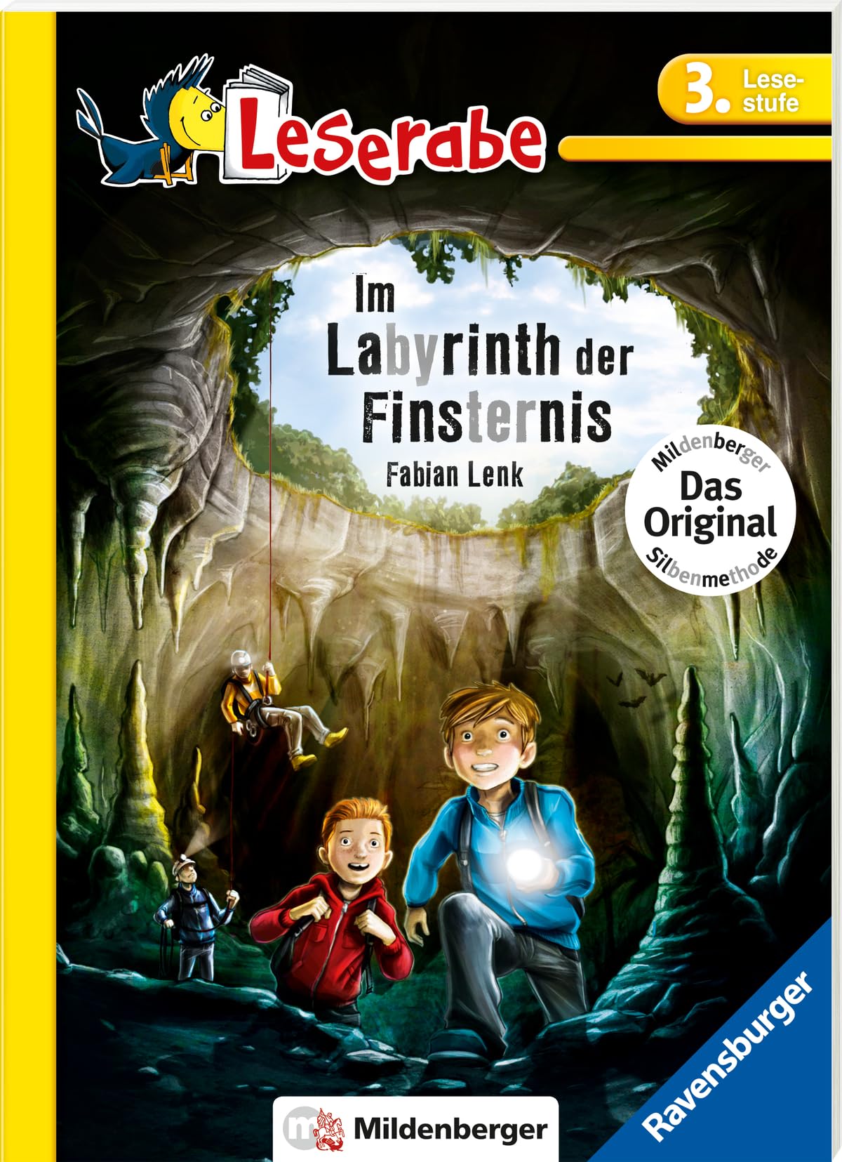 Libro: Im Labyrinth der Finsternis - Leserabe 3. Klasse - Erstlesebuch für Kinder ab 8 Jahren: Leichter lesen mit der Silbenmethode