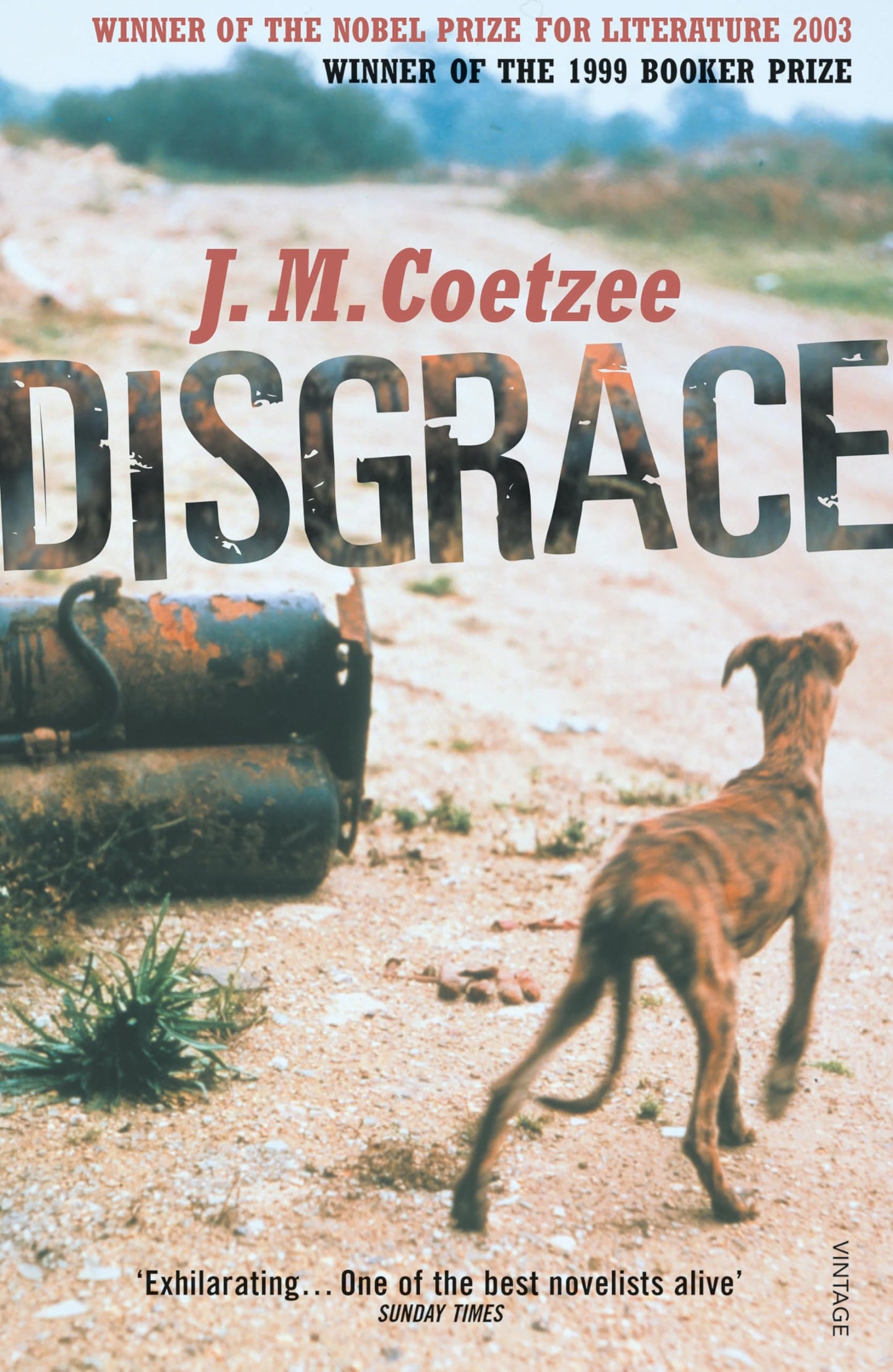 Libro: Disgrace: A BBC Radio 4 Good Read