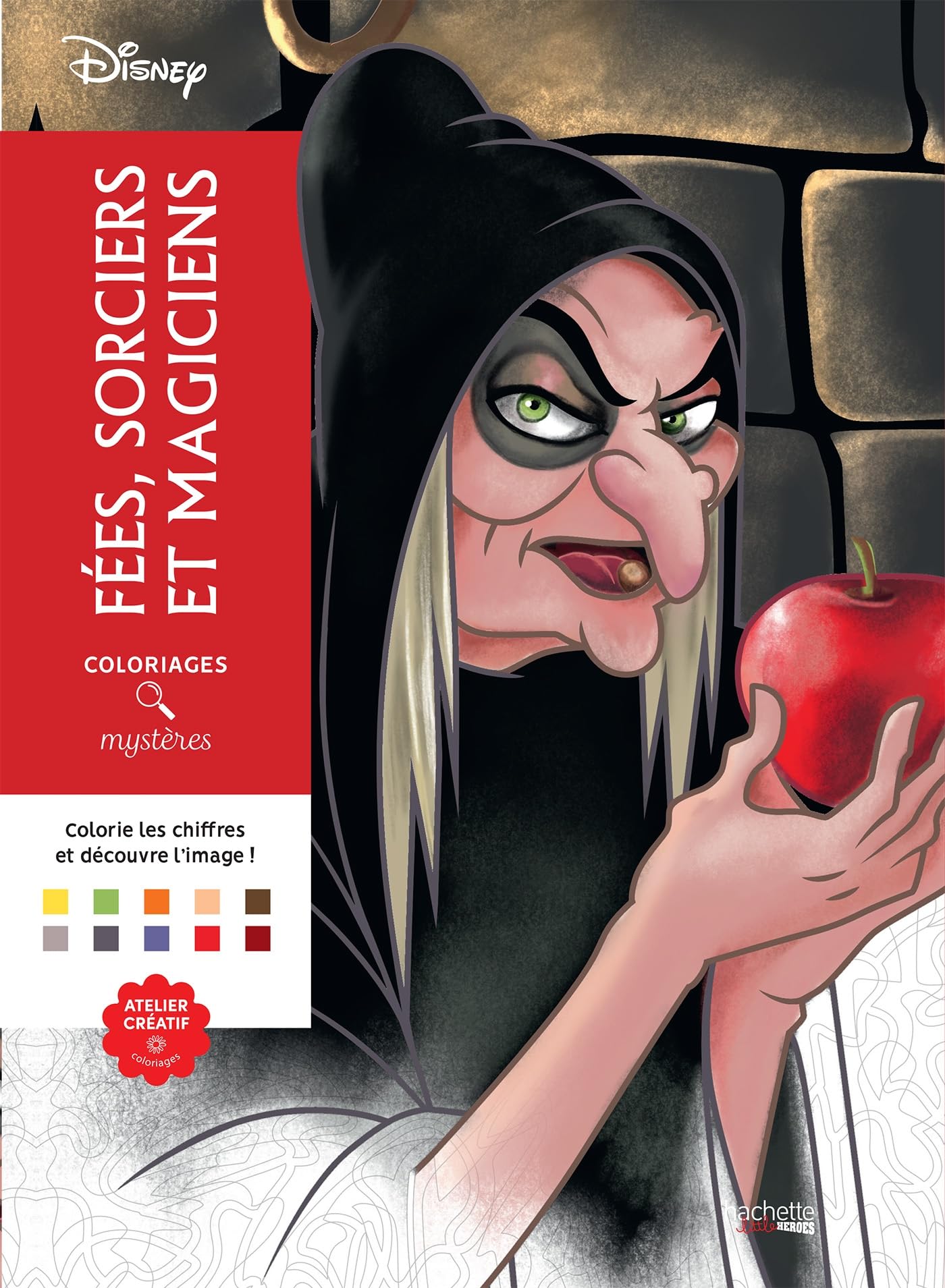 Libro: Fées, sorciers et magiciens