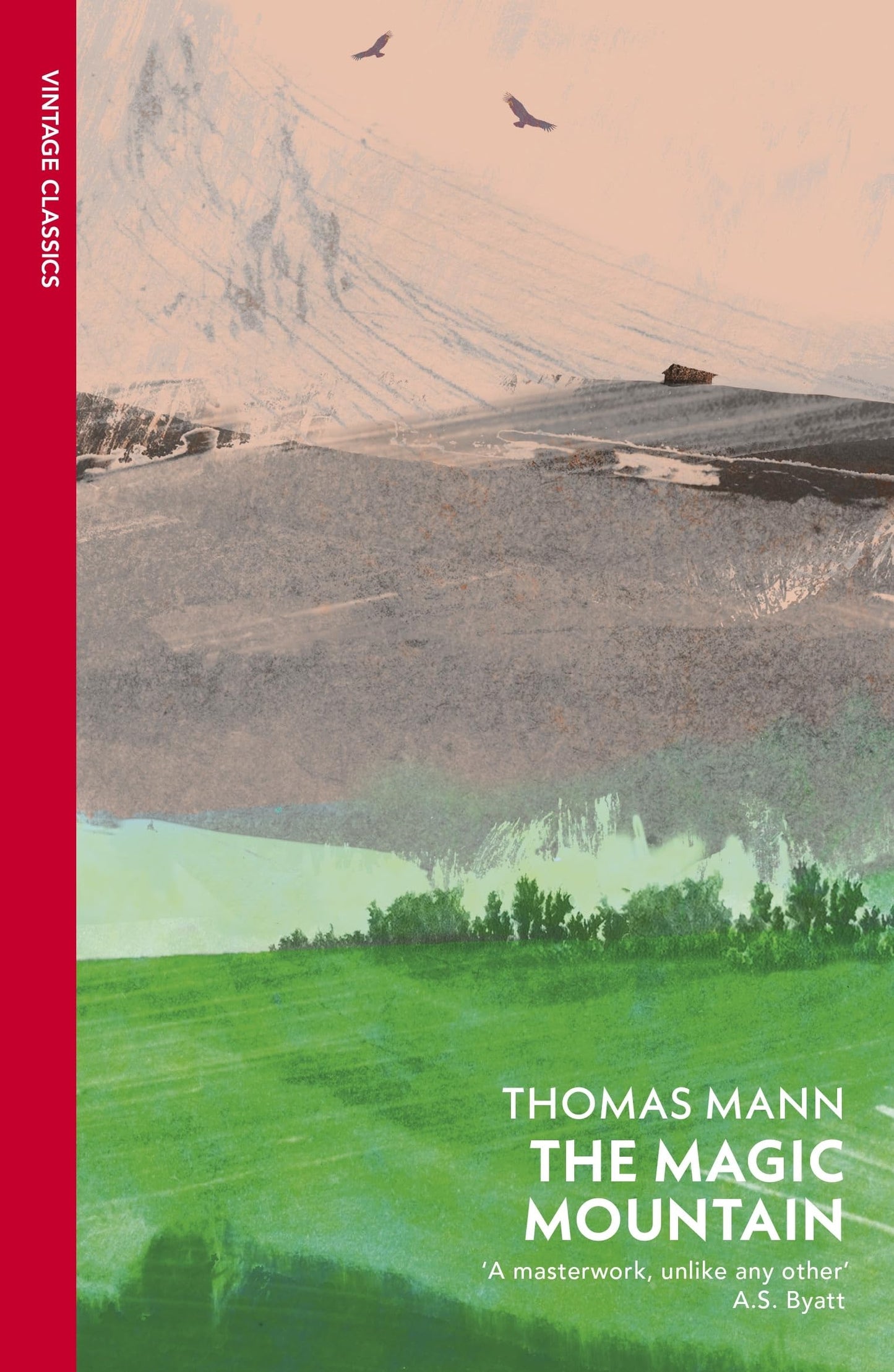 Libro: The Magic Mountain