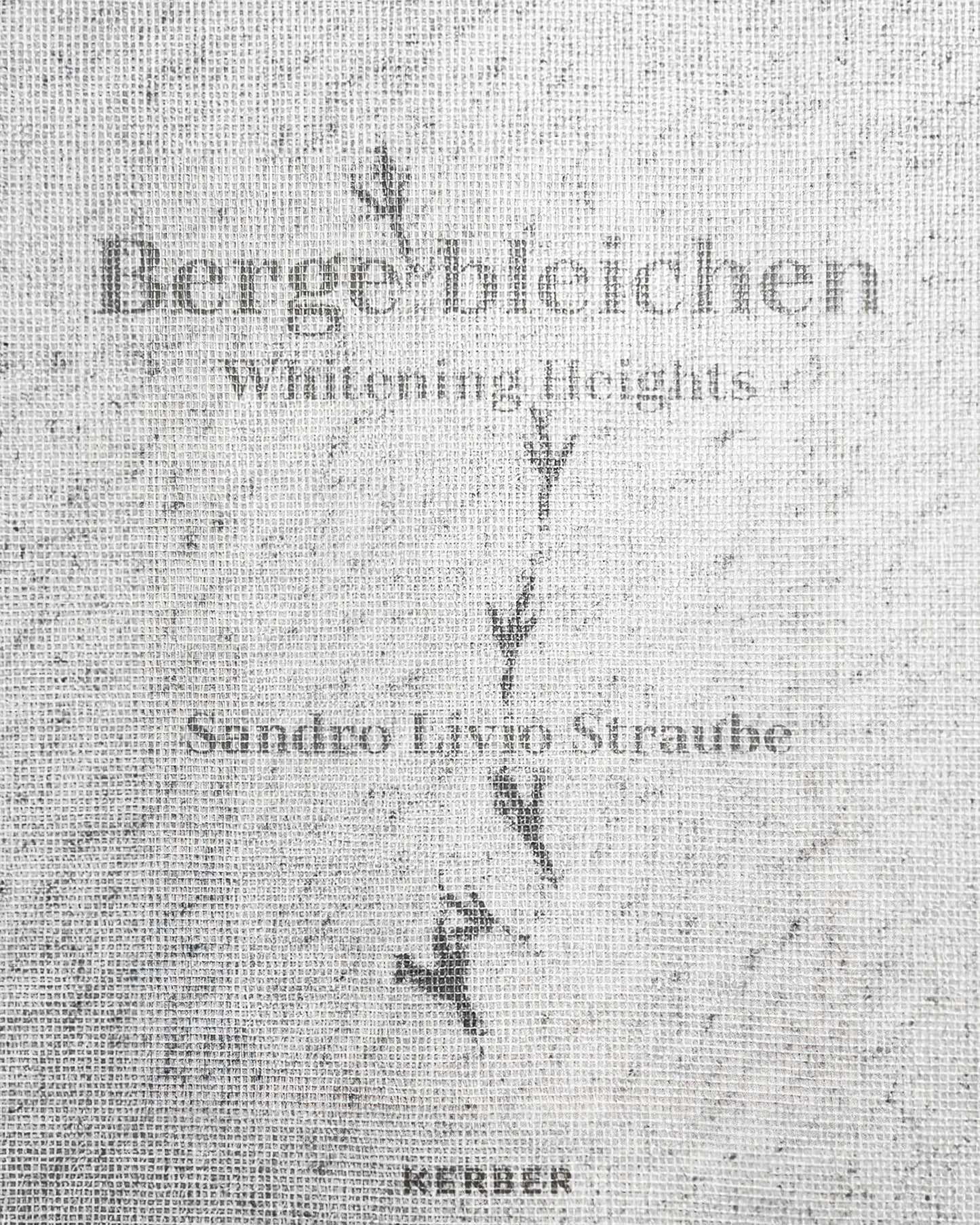 Libro: Whitening Heights: Sandro Livio Straube: Berge bleichen