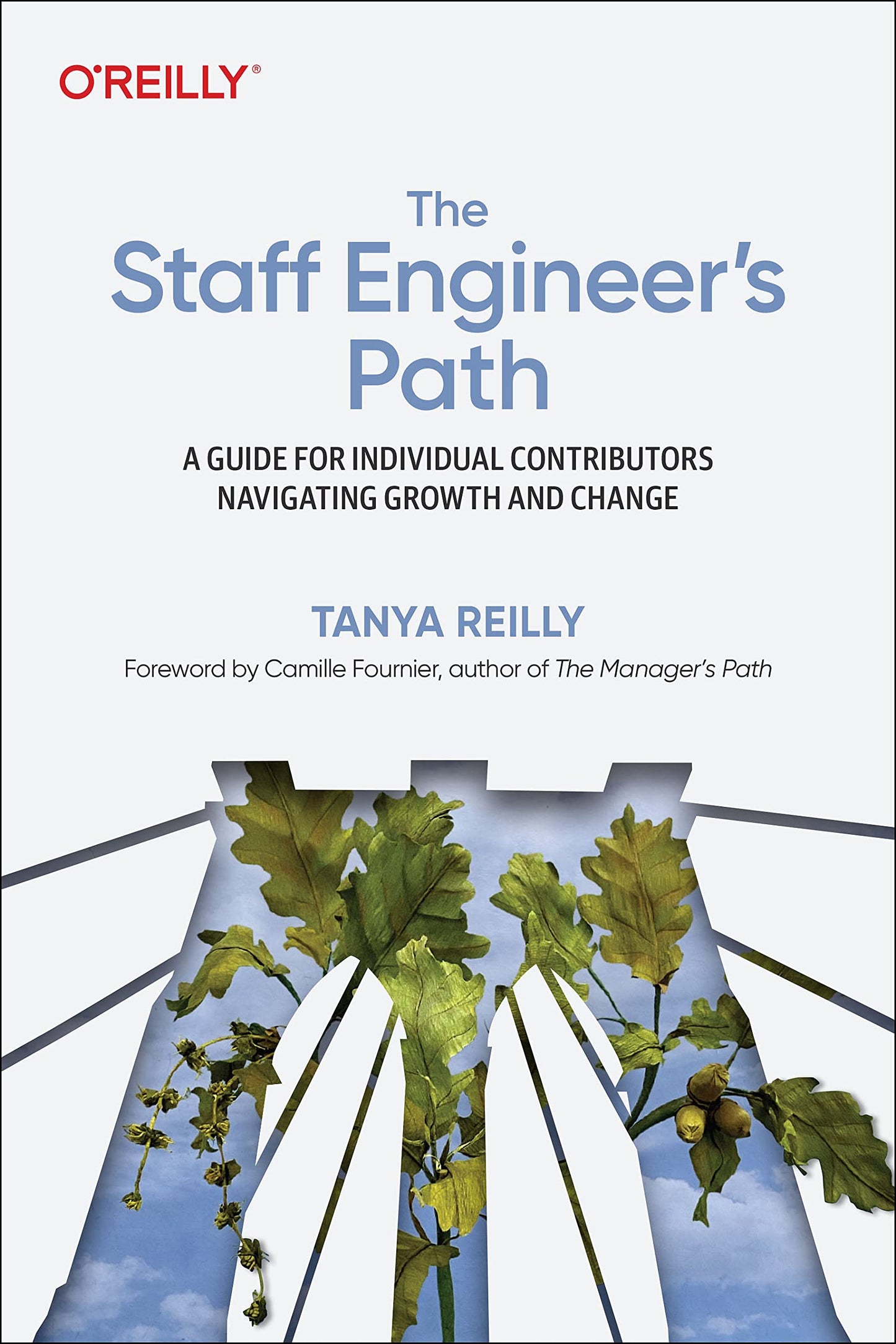 Libro: The Staff Engineer's Path: A Guide For Individual Contributors Navigating Growth and Change