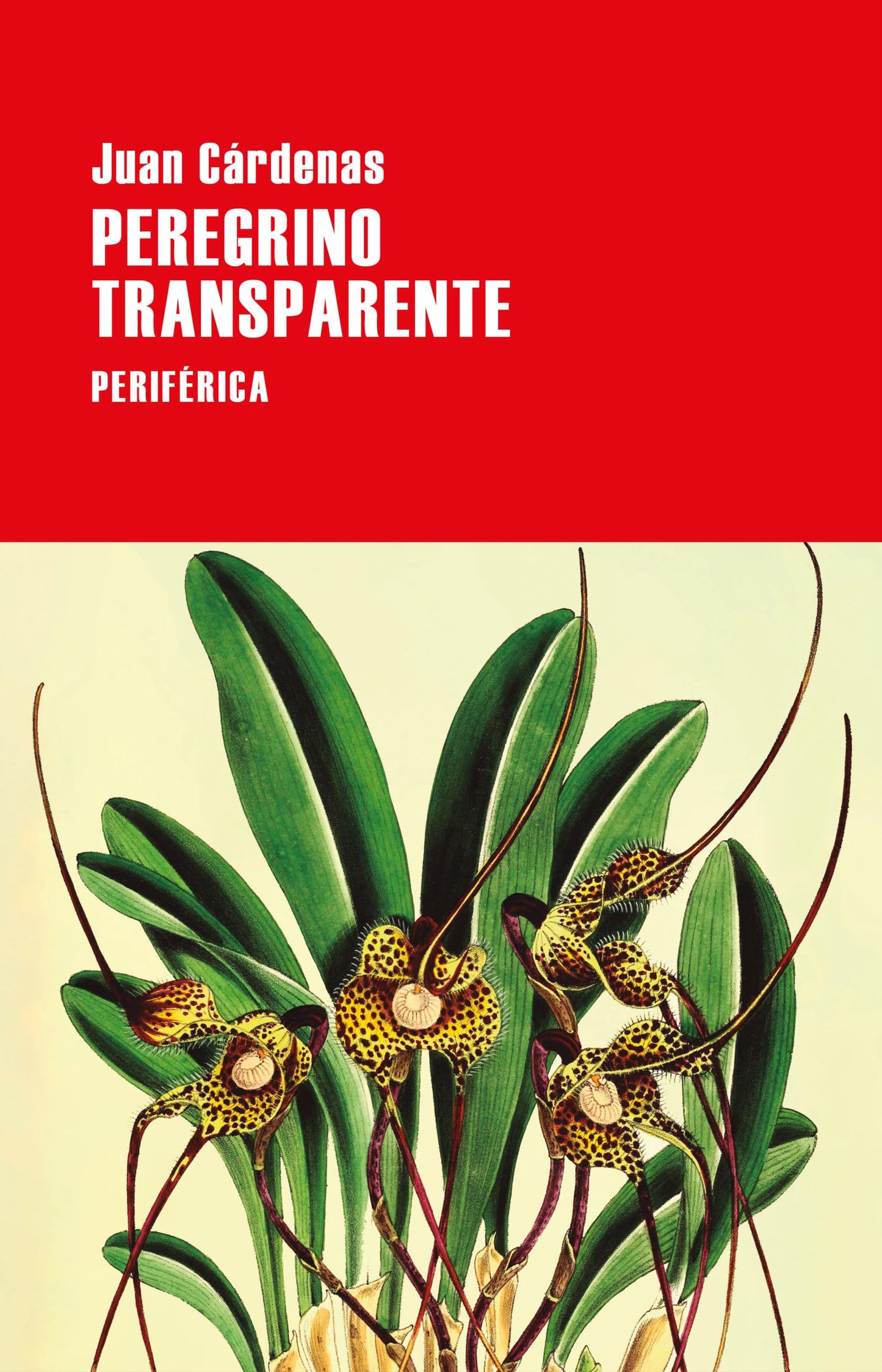 Libro: Peregrino transparente (Largo Recorrido, 183) (Spanish Edition)