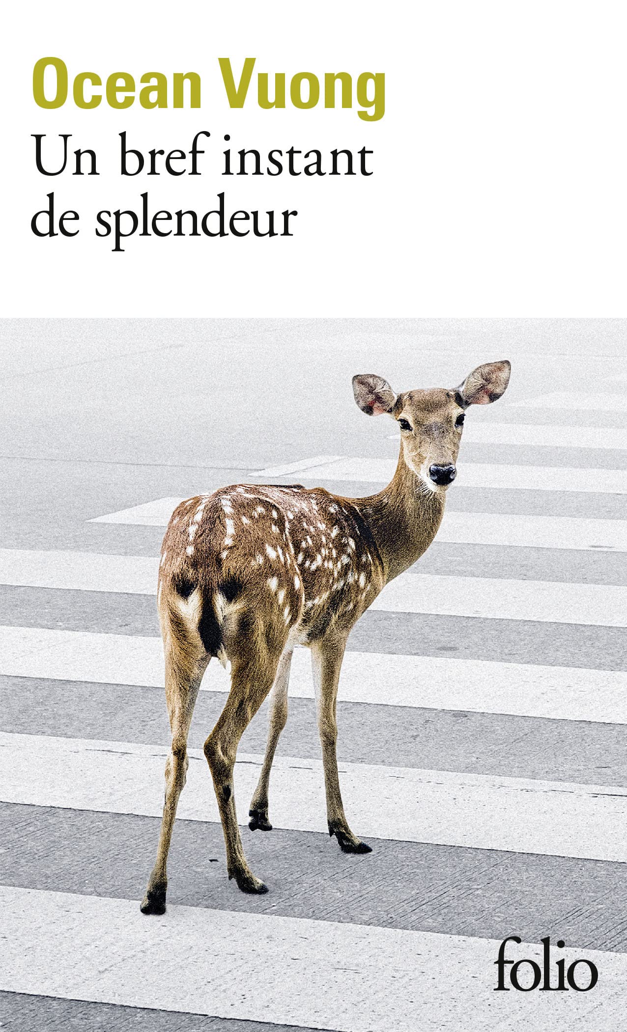 Libro: Un bref instant de splendeur