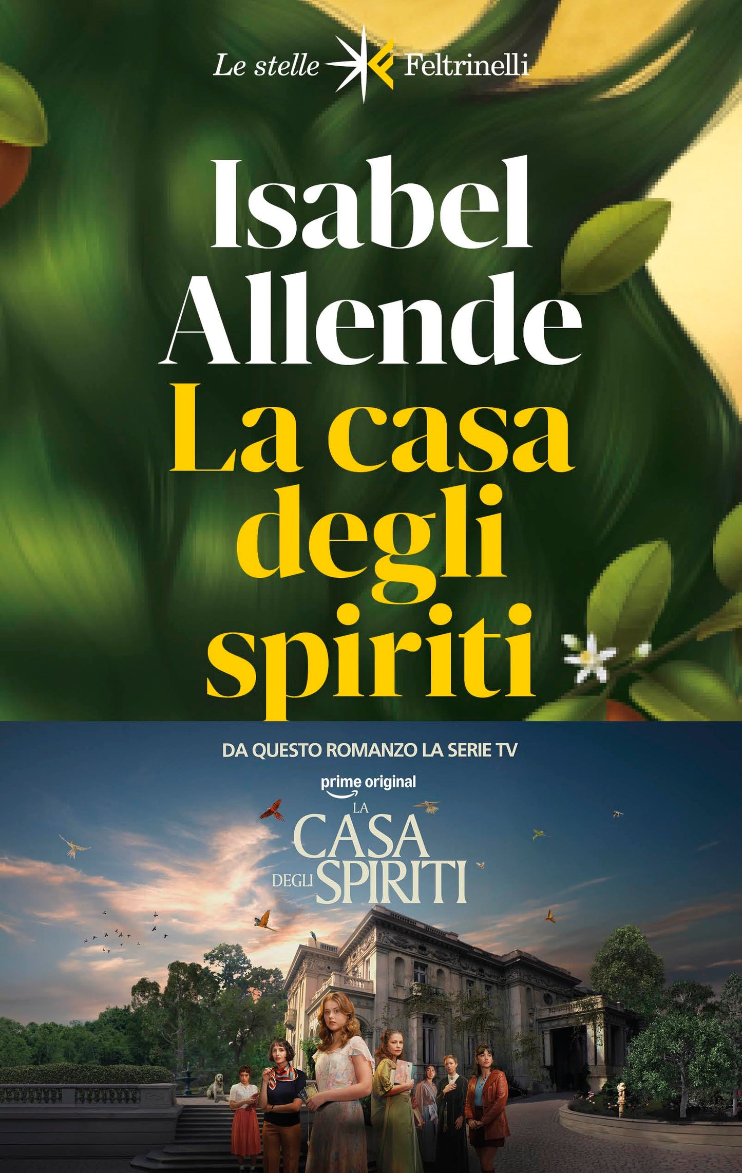 Libro: La casa degli spiriti. Nuova ediz. (Le stelle)