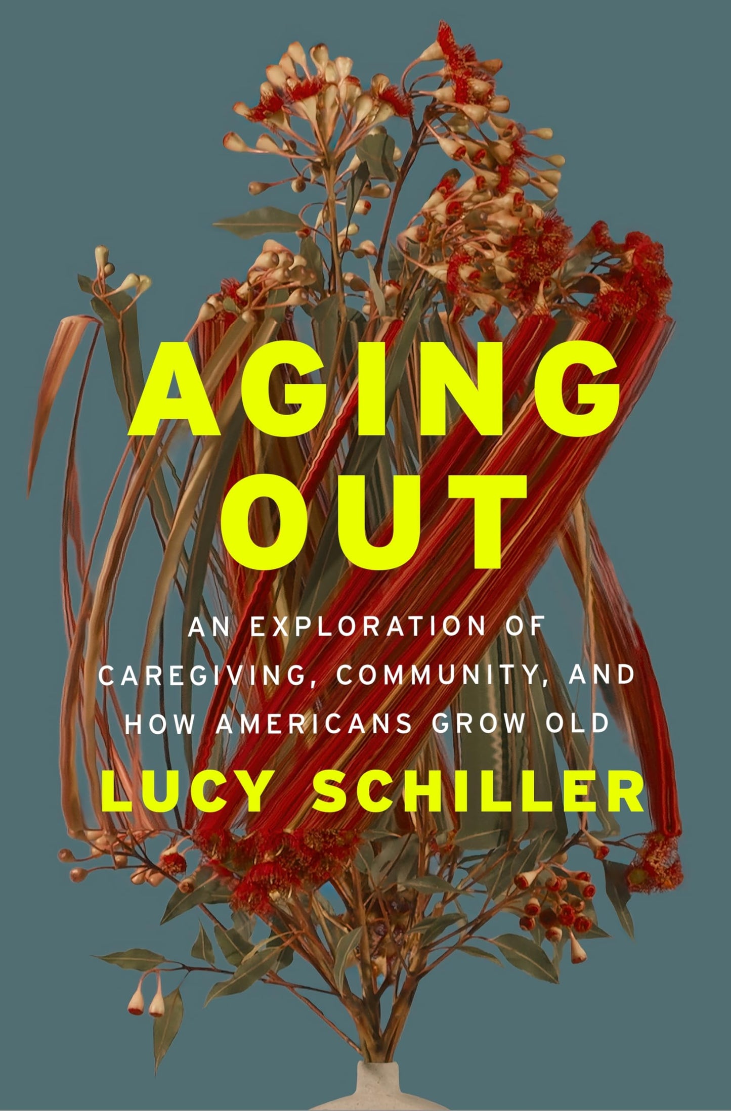 Libro: Aging Out: An Exploration of Caregiving, Community, and How Americans Grow Old