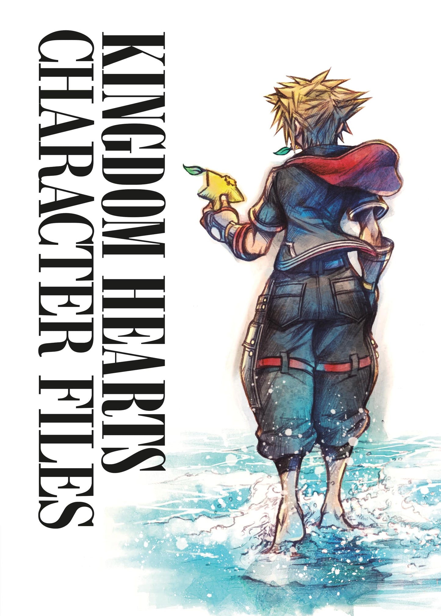 Libro: Kingdom Hearts Character Files