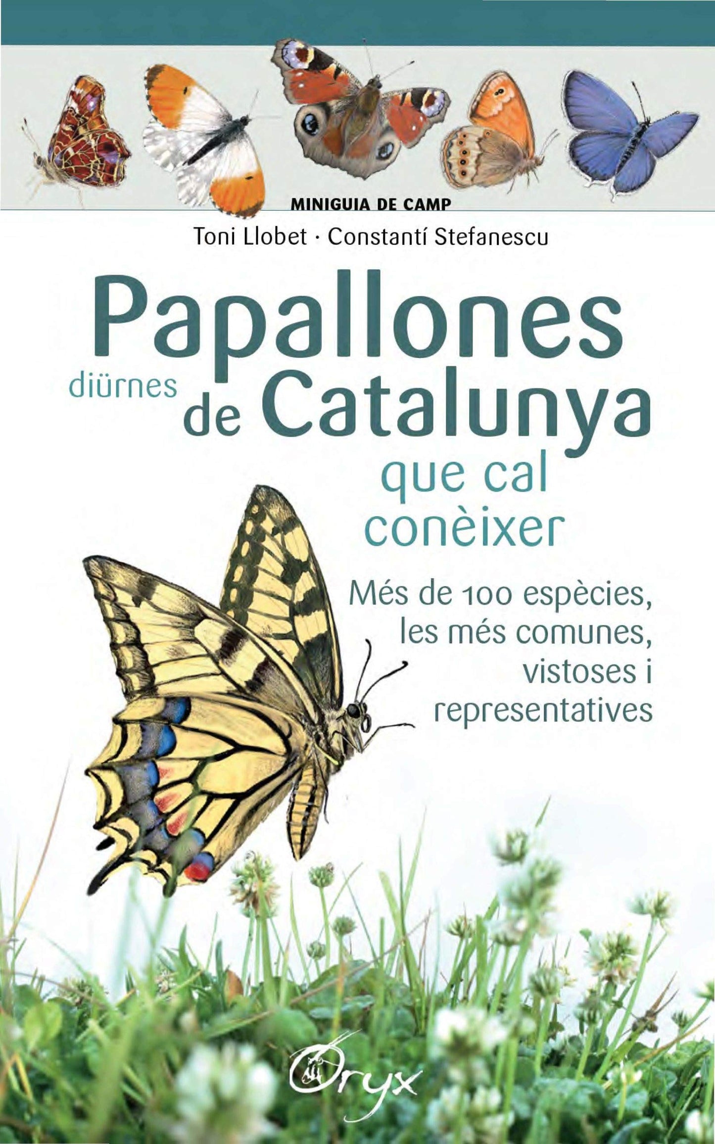 Libro: Papallones Diürnes De Catalunya: que cal conèixer (Miniguia de camp)